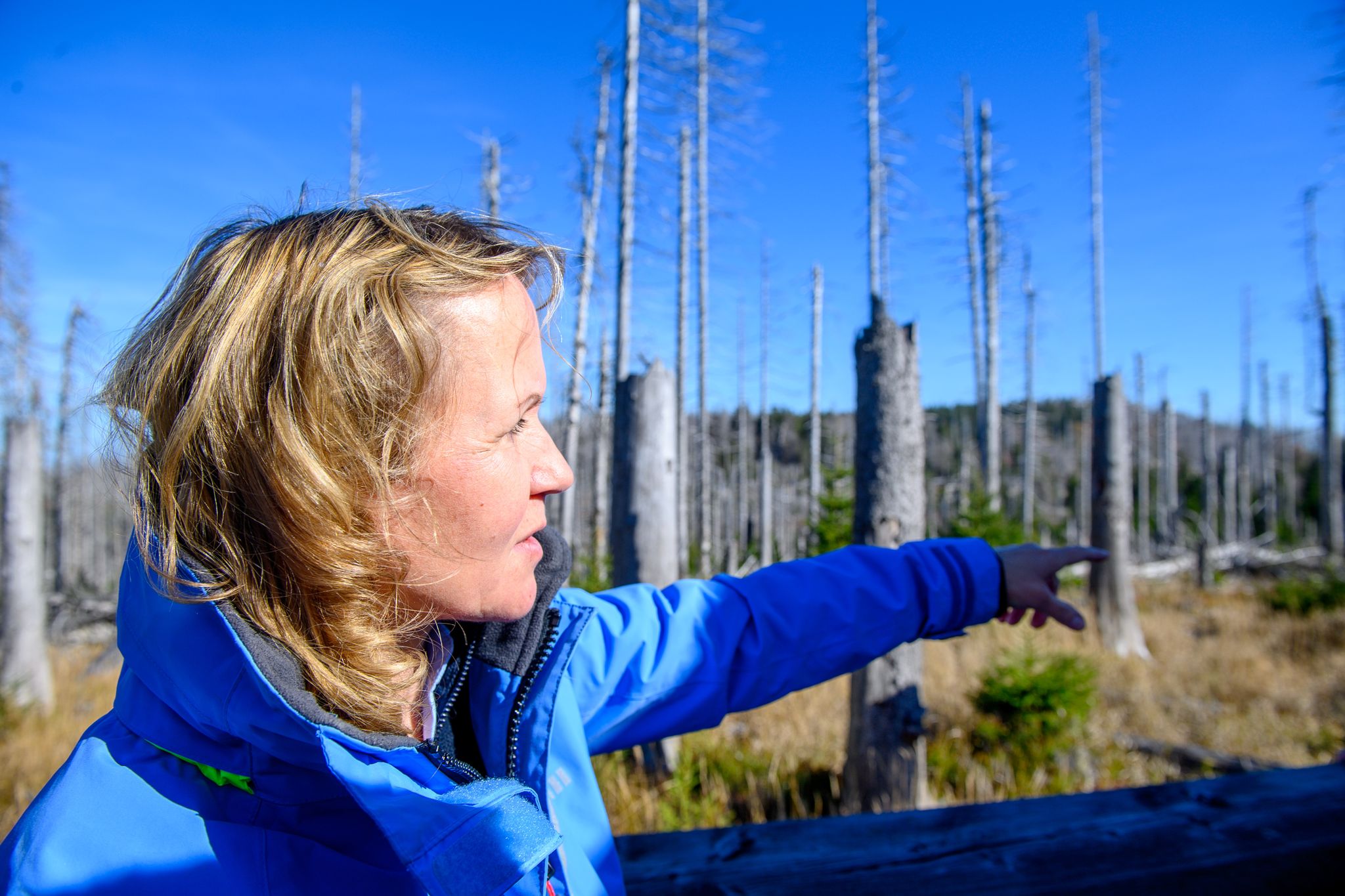 Steffi Lemke, Bundesministerin für Umwelt, steht vor einem Waldstück mit abgestorbenen Bäumen.
