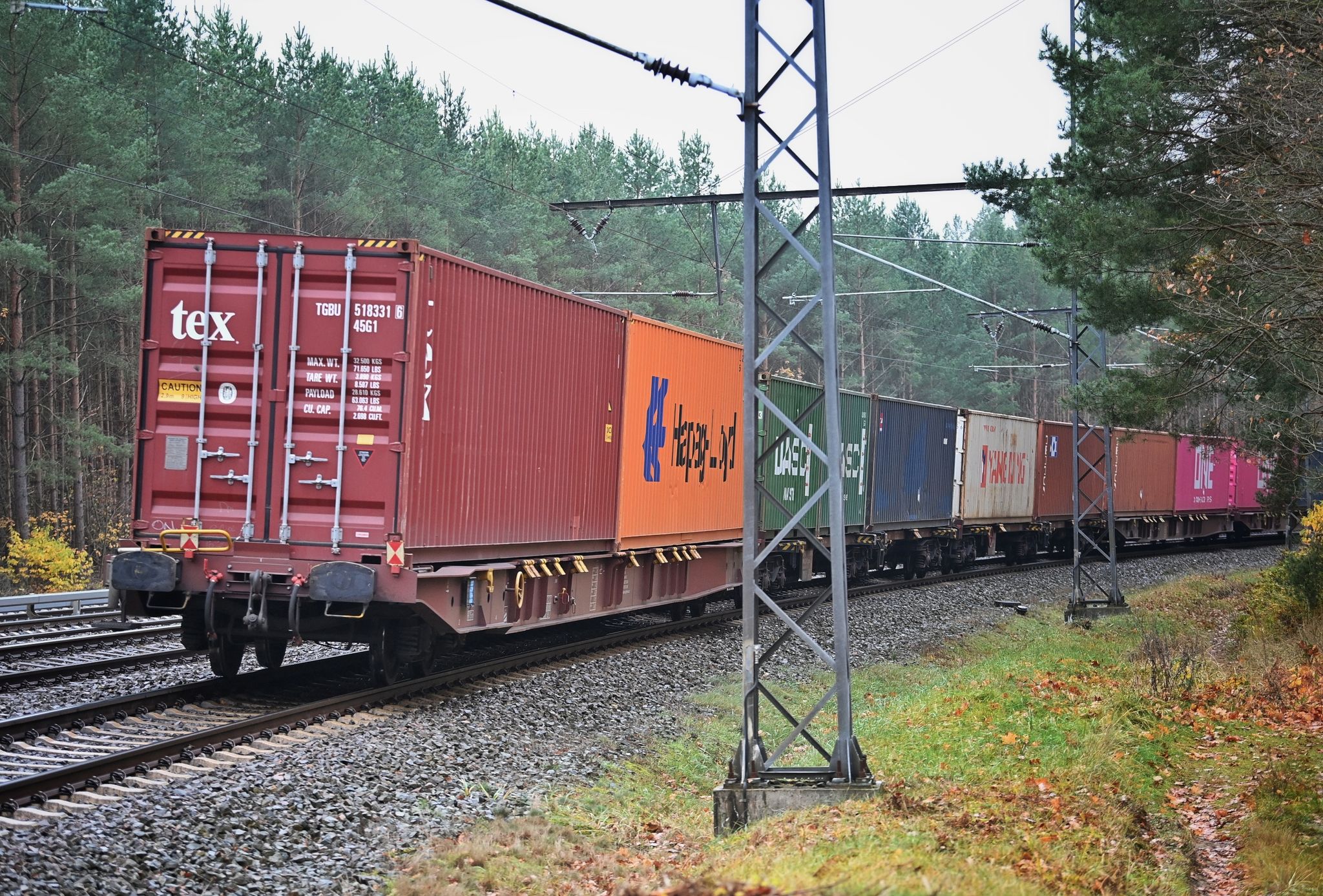 Ein Güterzug fährt durch den Wald.