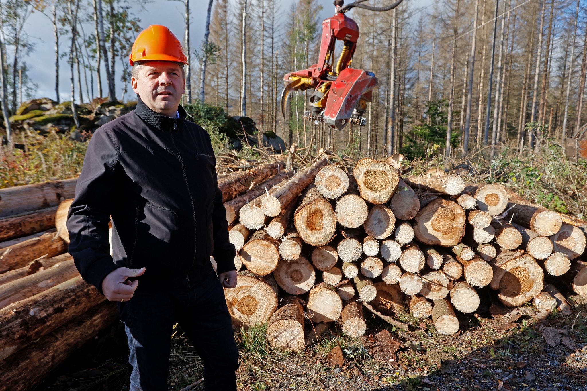 Sven Schulze steht in einem Waldstück in Schierke vor einem Holzstapel.