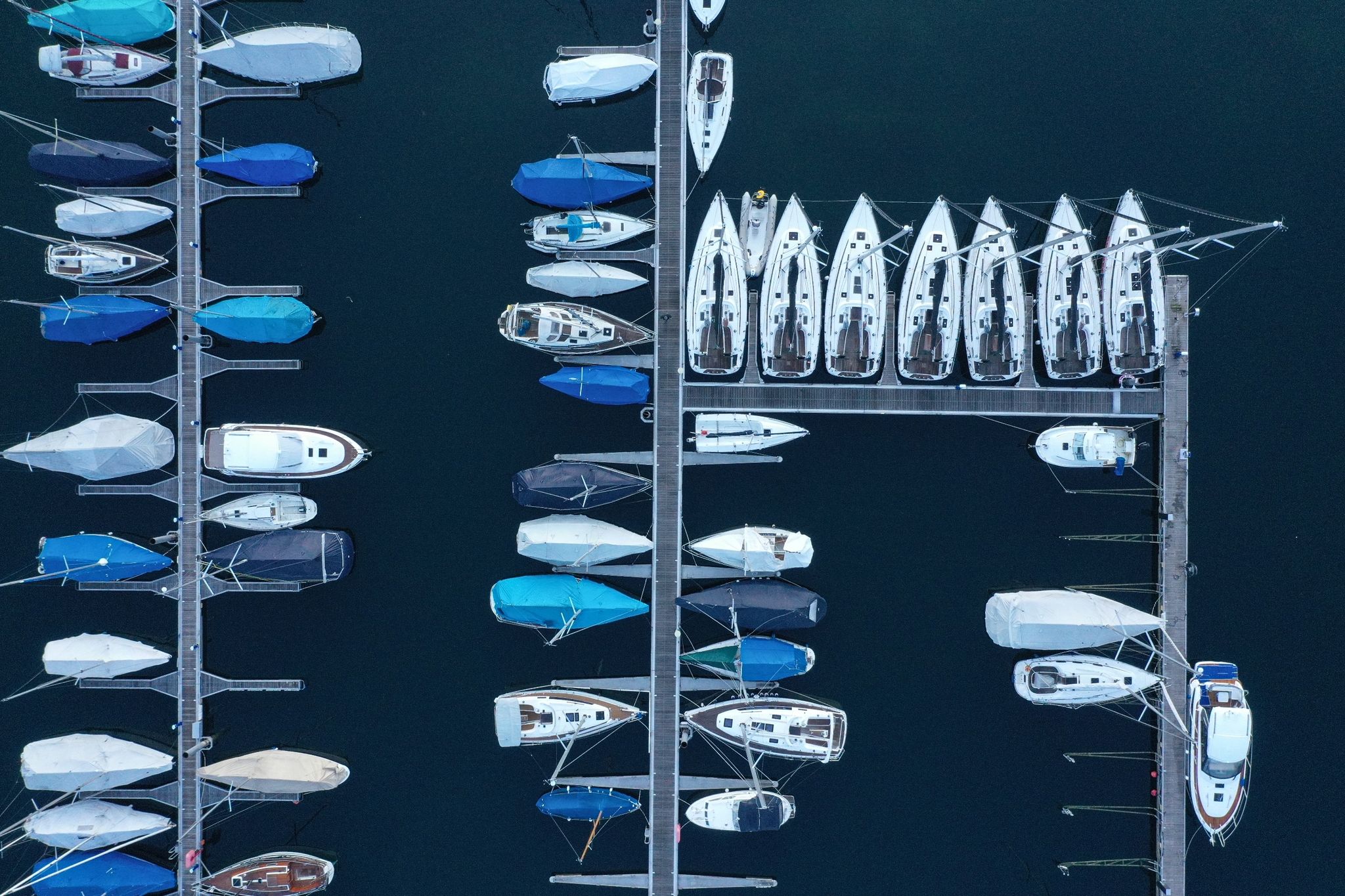 Mehrere Segel- und Motorboote liegen im Yachthafen am Bodensee.