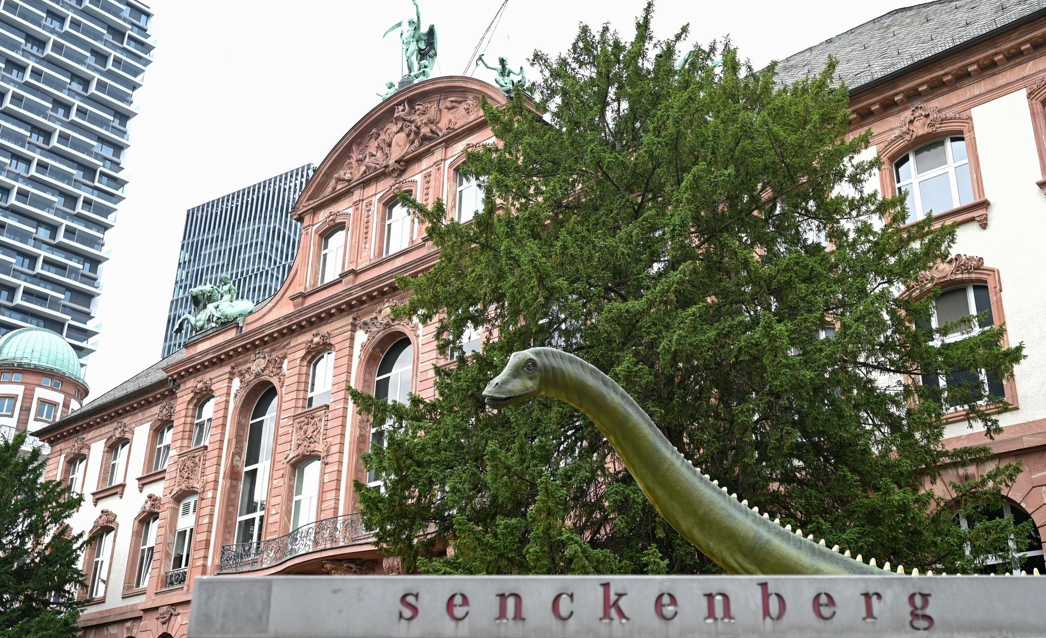 Ein rekonstruierter Langhals-Dinosaurier steht als Wahrzeichen vor dem Senckenberg-Museum.