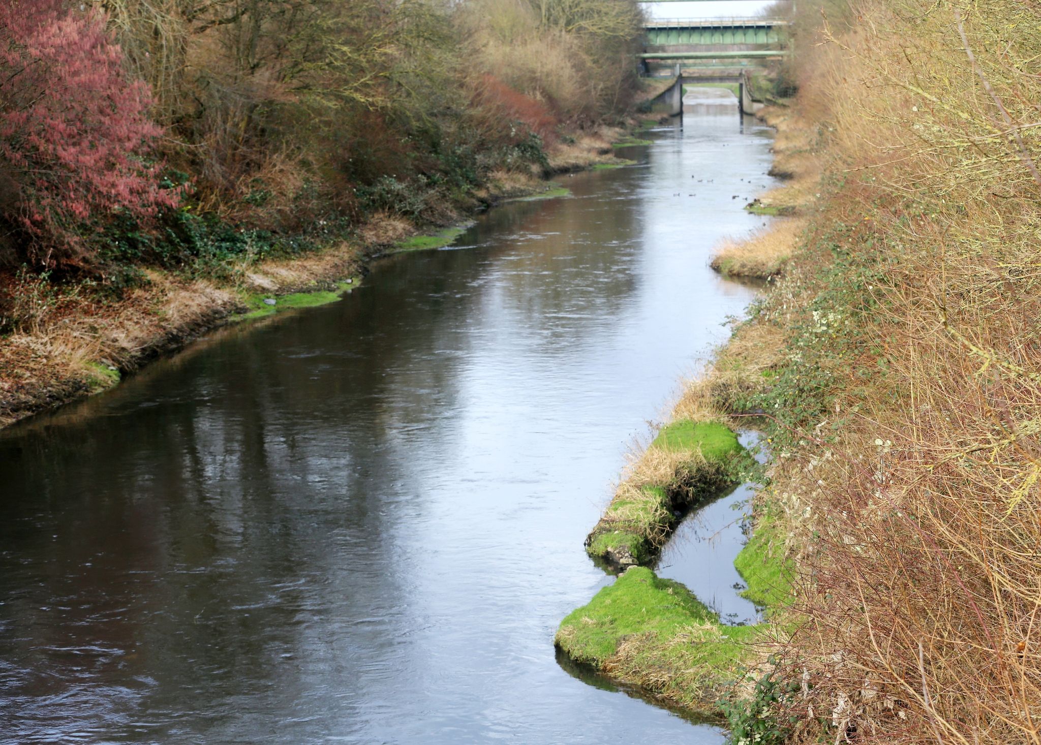 Die seit Jahresbeginn komplett abwasserfreie Emscher fließt durch ihr renaturiertes Flußbett.