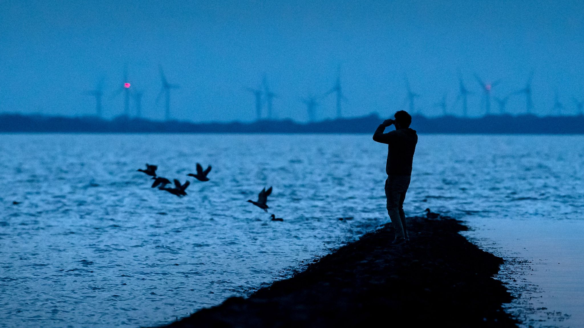 Ein Mann beobachtet Zugvögel, die über das Wattenmeer der Nordseebucht Jadebusen fliegen.