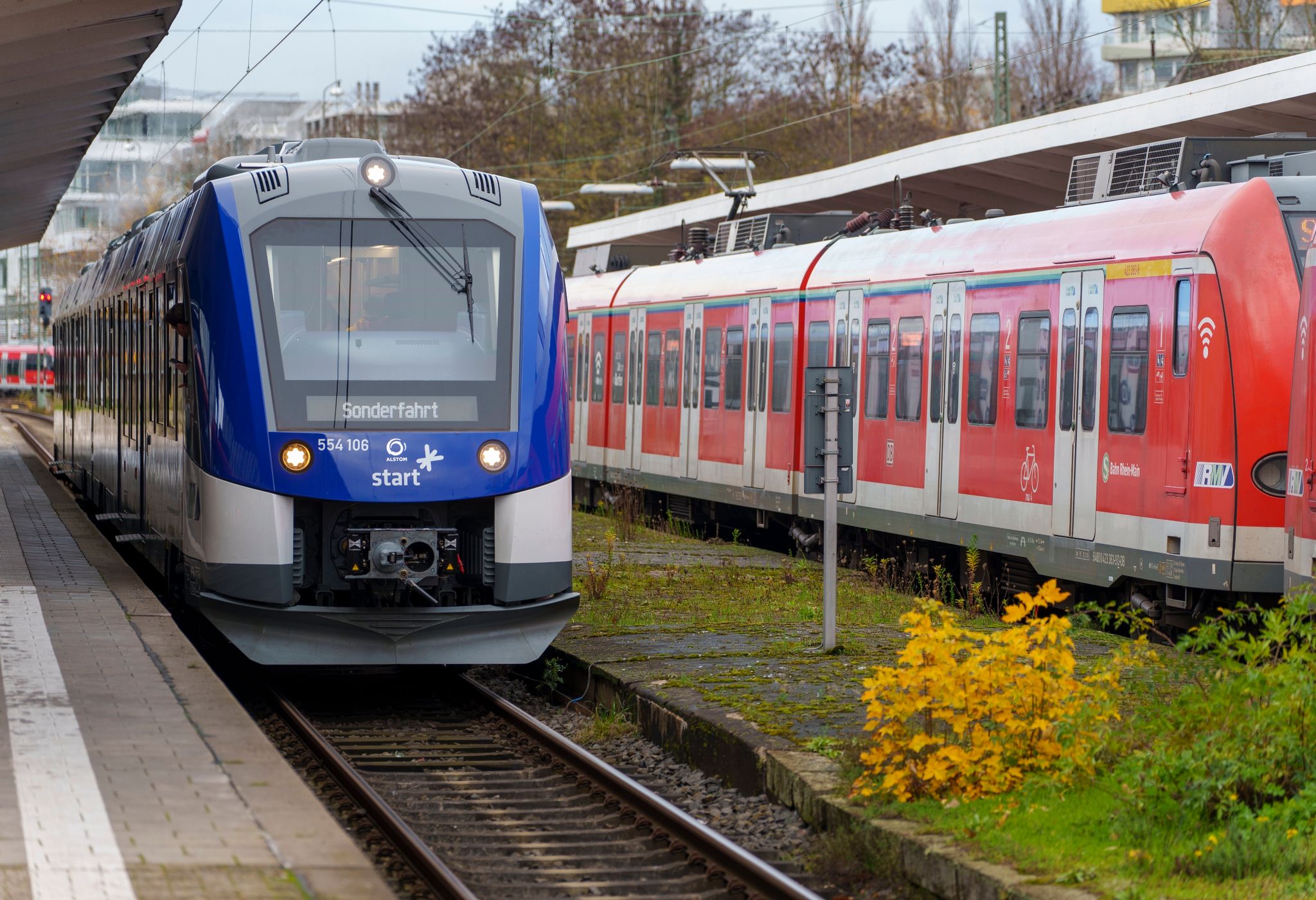 Der „Wasserstoffzug“ steht im Bahnhof Bad Homburg neben einer konventionellen S-Bahn.