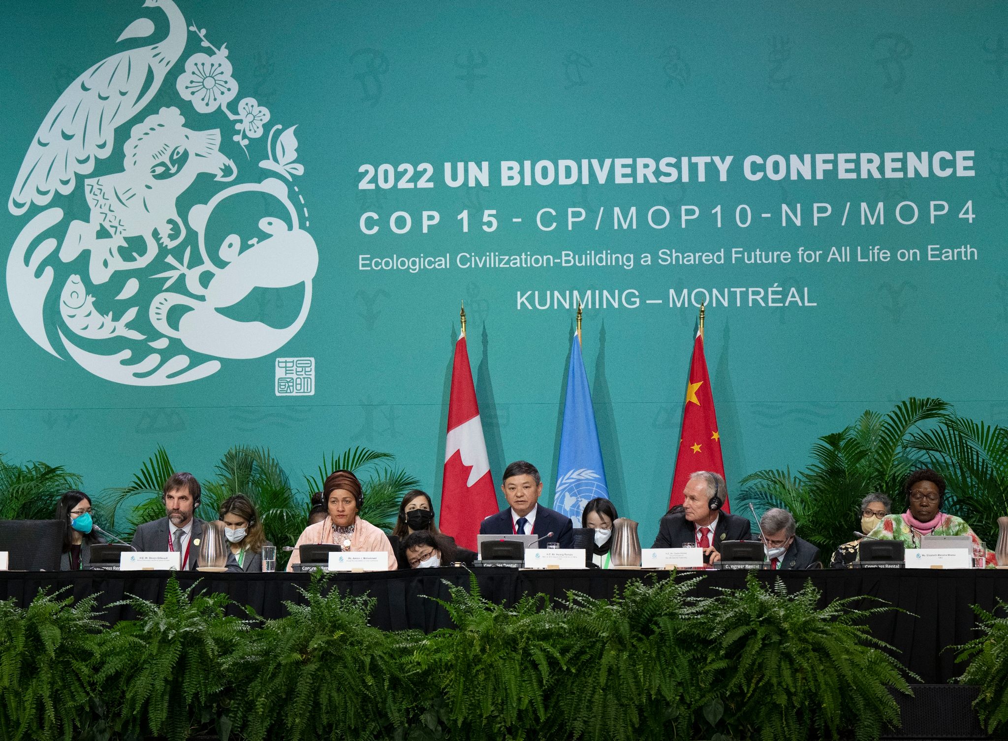 Huang Runqiu (M), chinesischer Minister für Ökologie und Umwelt, beim Weltnaturgipfel.