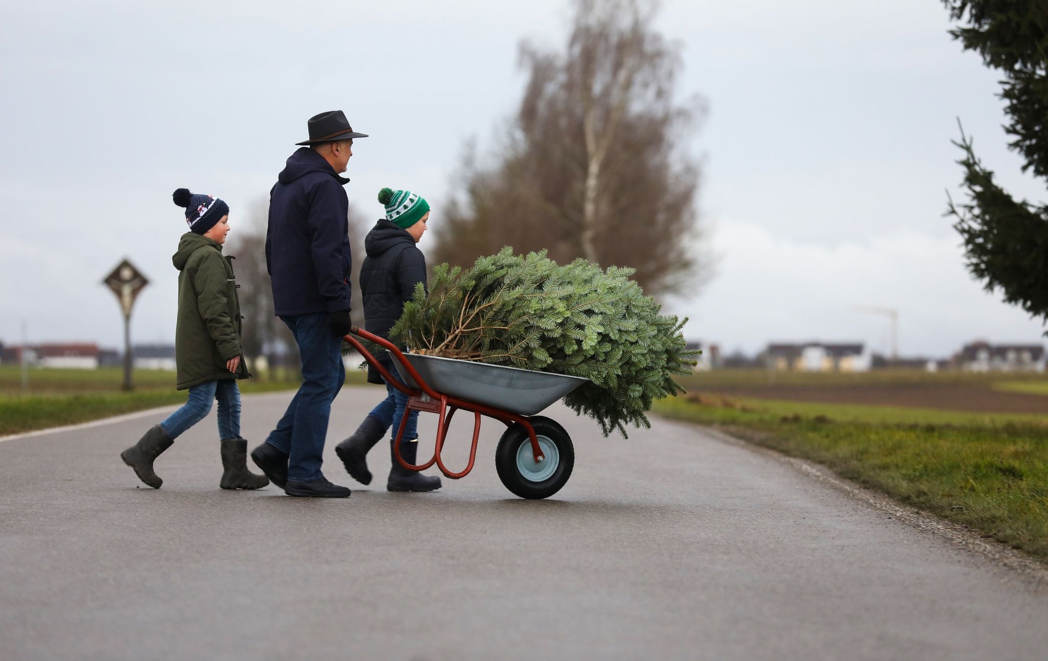 Ein Mann und seine Enkel transportieren einen Weihnachtsbaum.