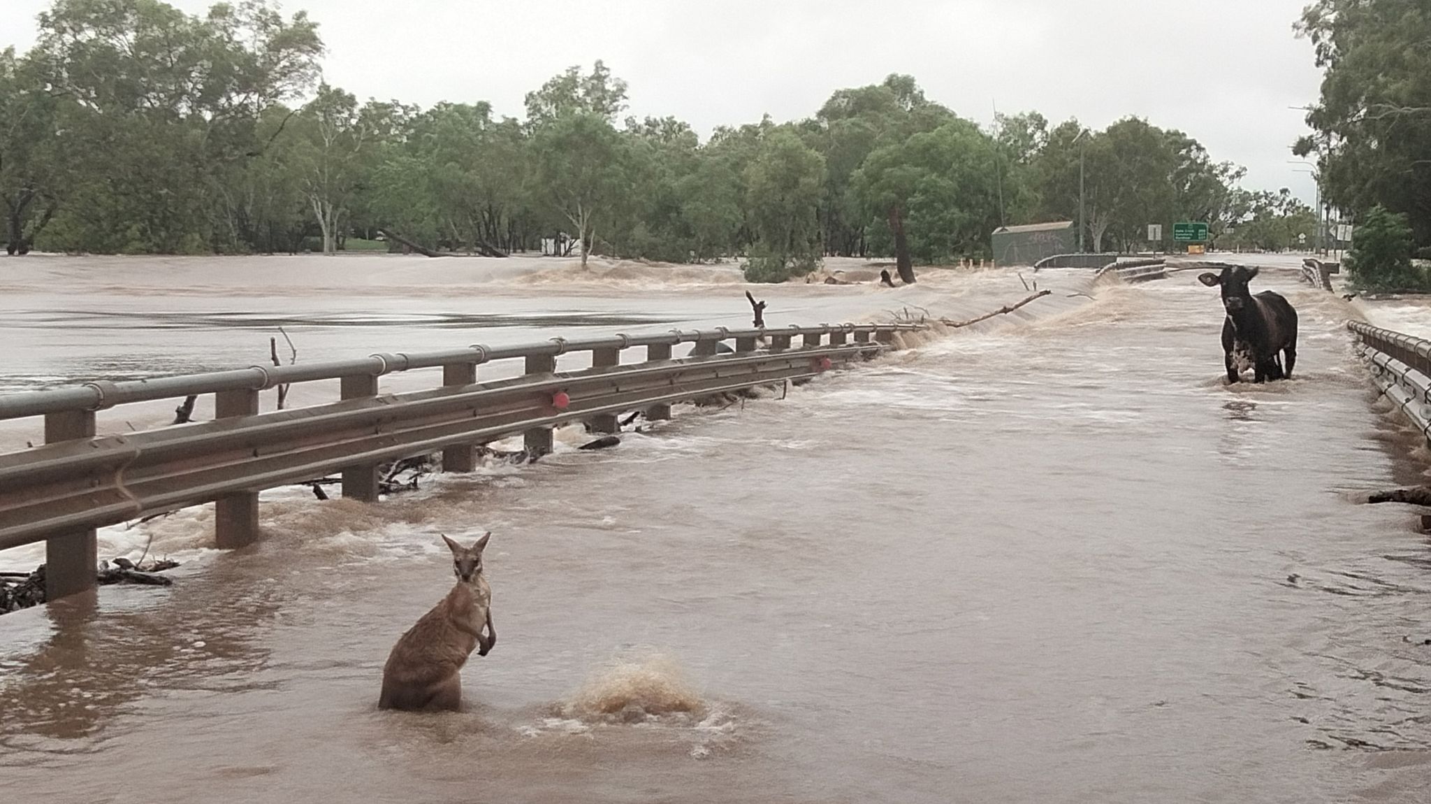 Nach extrem heftigen Regenfällen sind mehrere Ortschaften in der Kimberley-Region komplett überschwemmt.