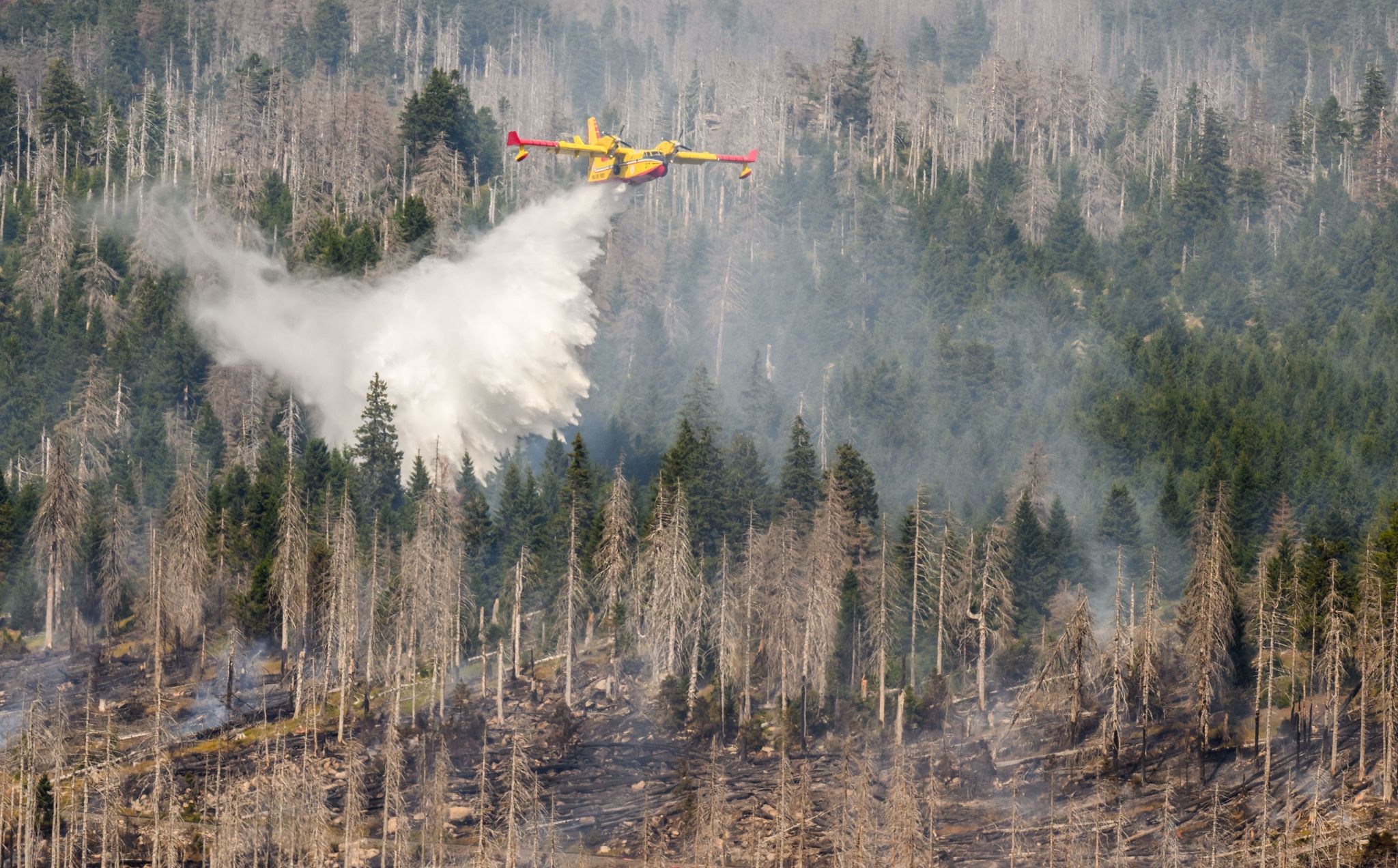Ein italienisches Löschflugzeug bekämpft einen Waldbrand am Brocken.