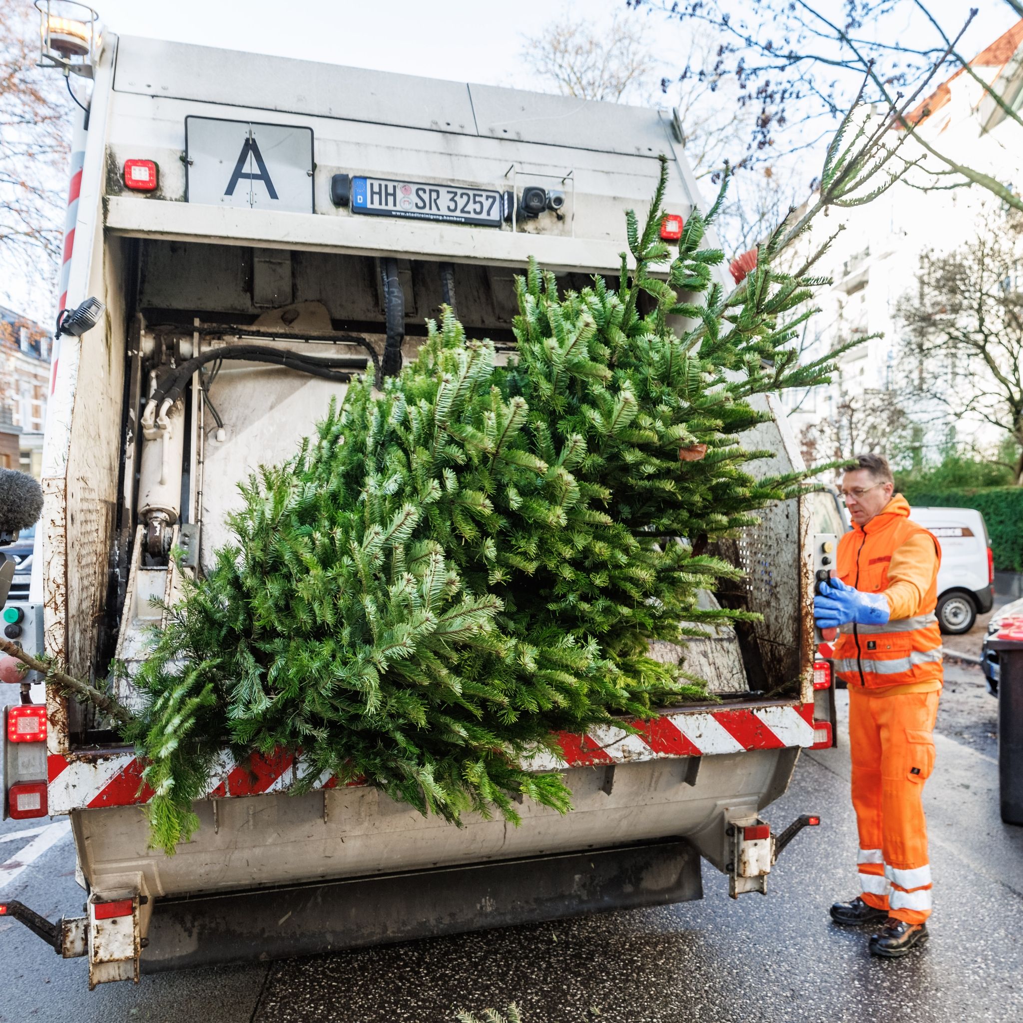 Mitarbeiter der Stadtreinigung sammeln Weihnachtsbäume vom Strassenrand ein.