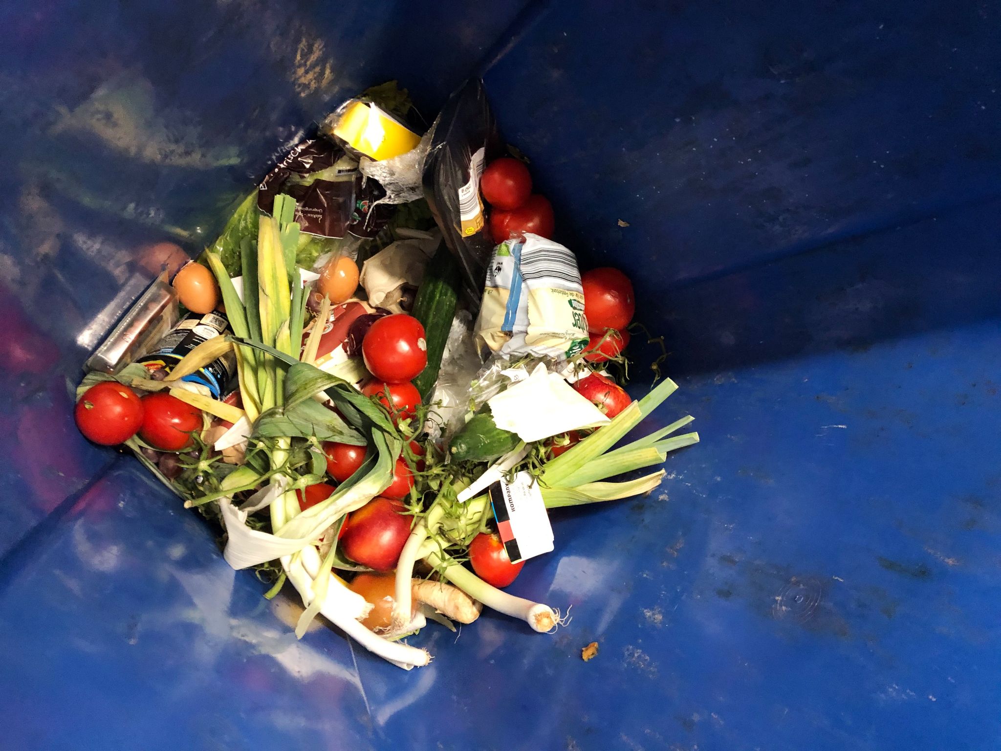 Weggeworfene Lebensmittel liegen in einer Mülltonne.