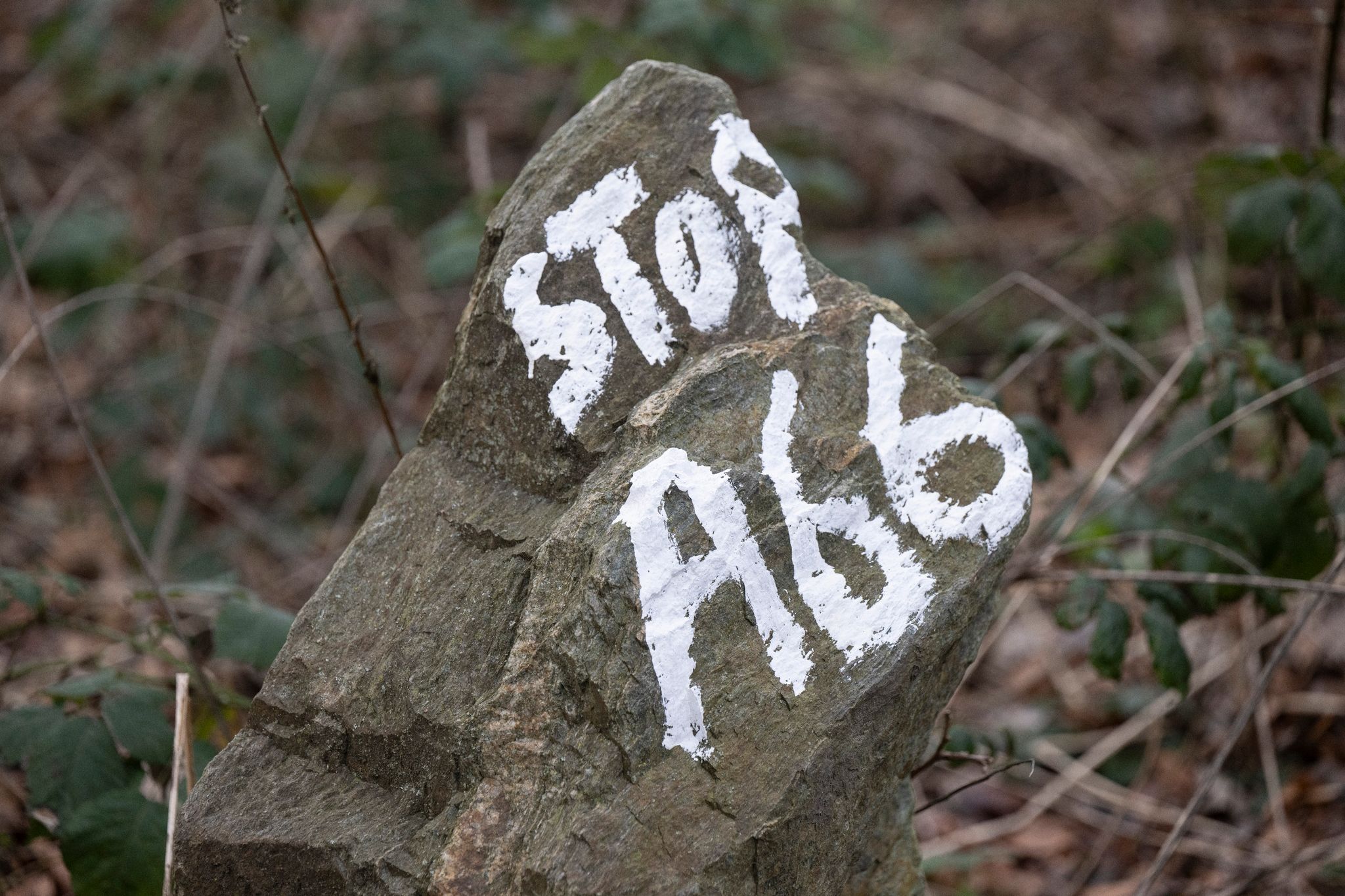 „Stop A66“ steht auf einem Stein im von Klimaaktivisten besetzten Fechenheimer Wald.