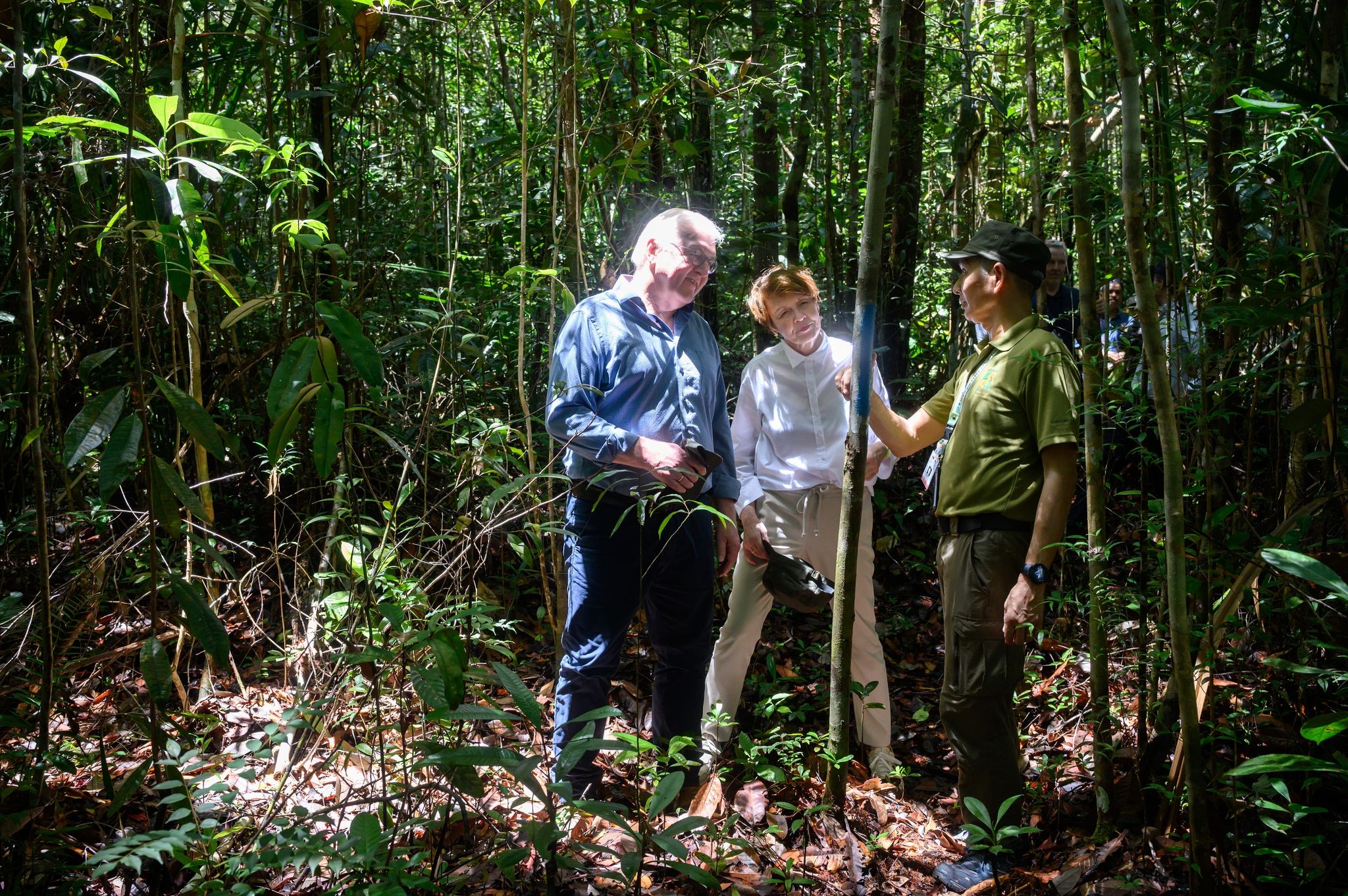 Bundespräsident Frank-Walter Steinmeier und seine Frau Elke Büdenbender werden im Kuching Wetland Nationalpark durch einen Urwald geführt.
