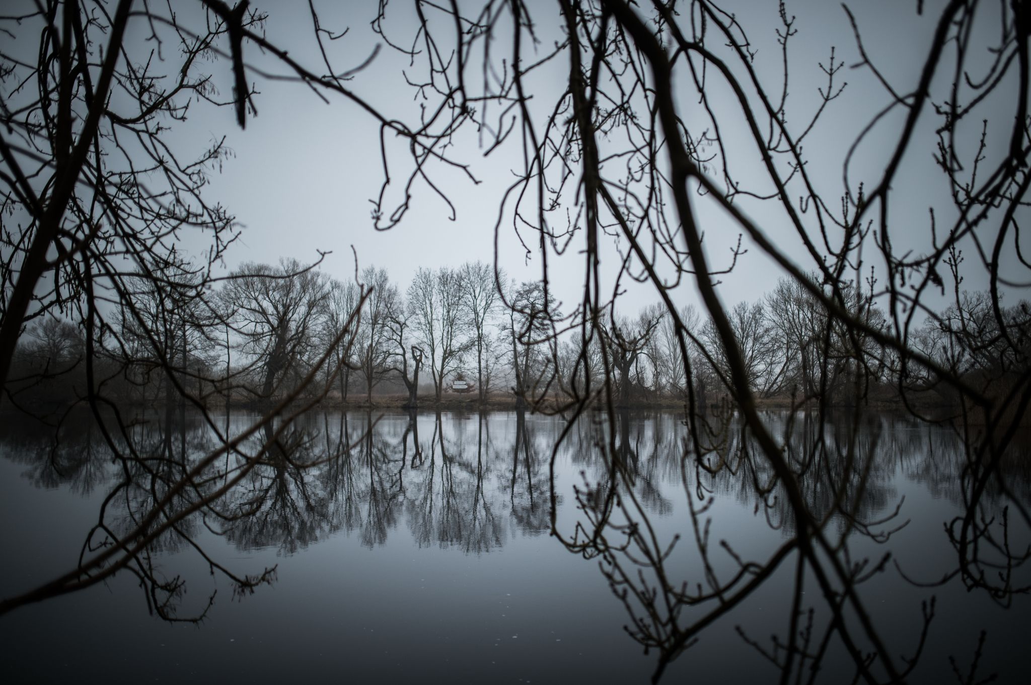 Bäume spiegeln sich in einem Hauptarm der Havel.