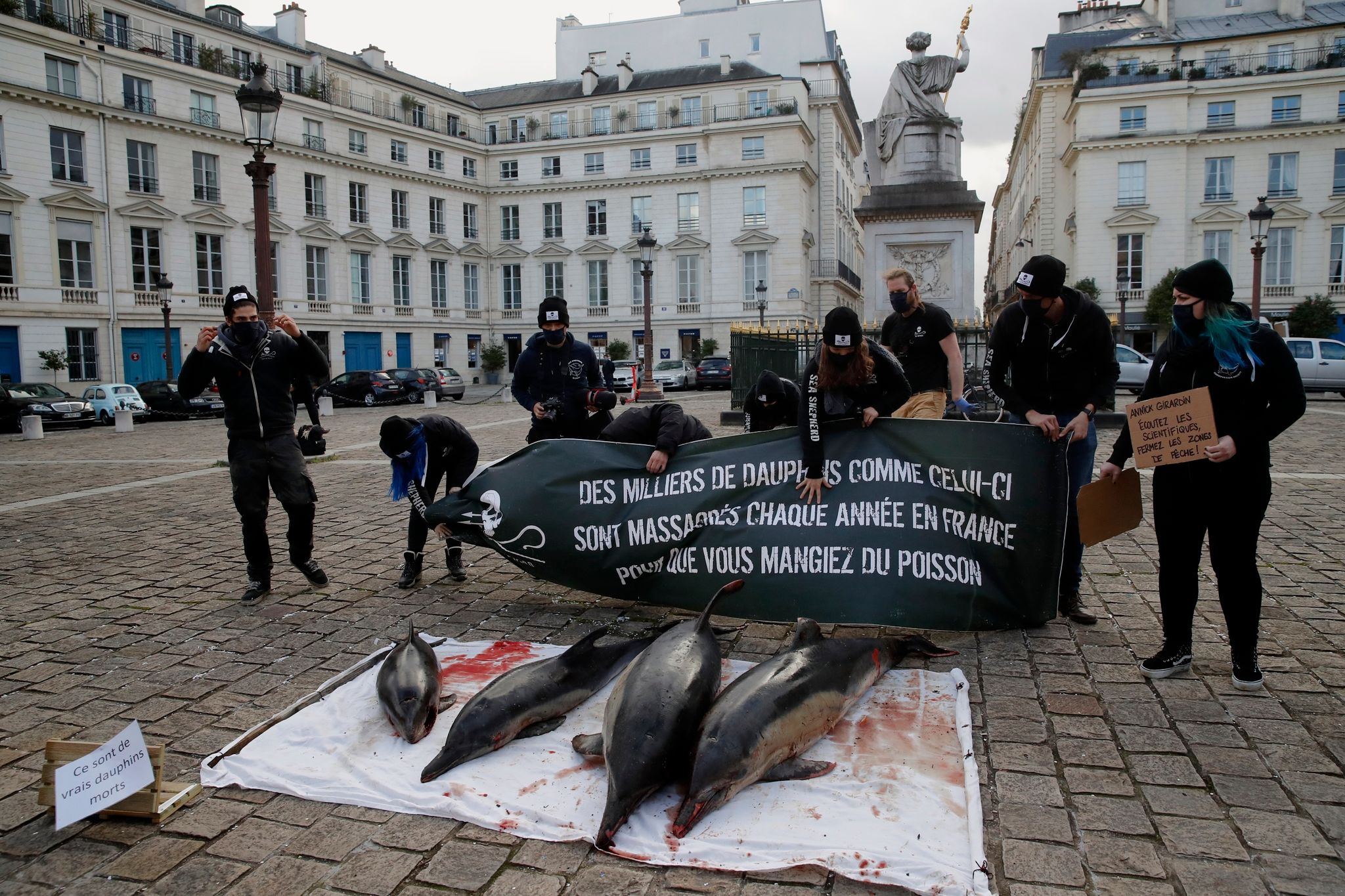 Protestierende drängen auf sicherere Praktiken in der Fischereiindustrie, damit Delfine besser vor tödlichen Fischernetzen geschützt werden.
