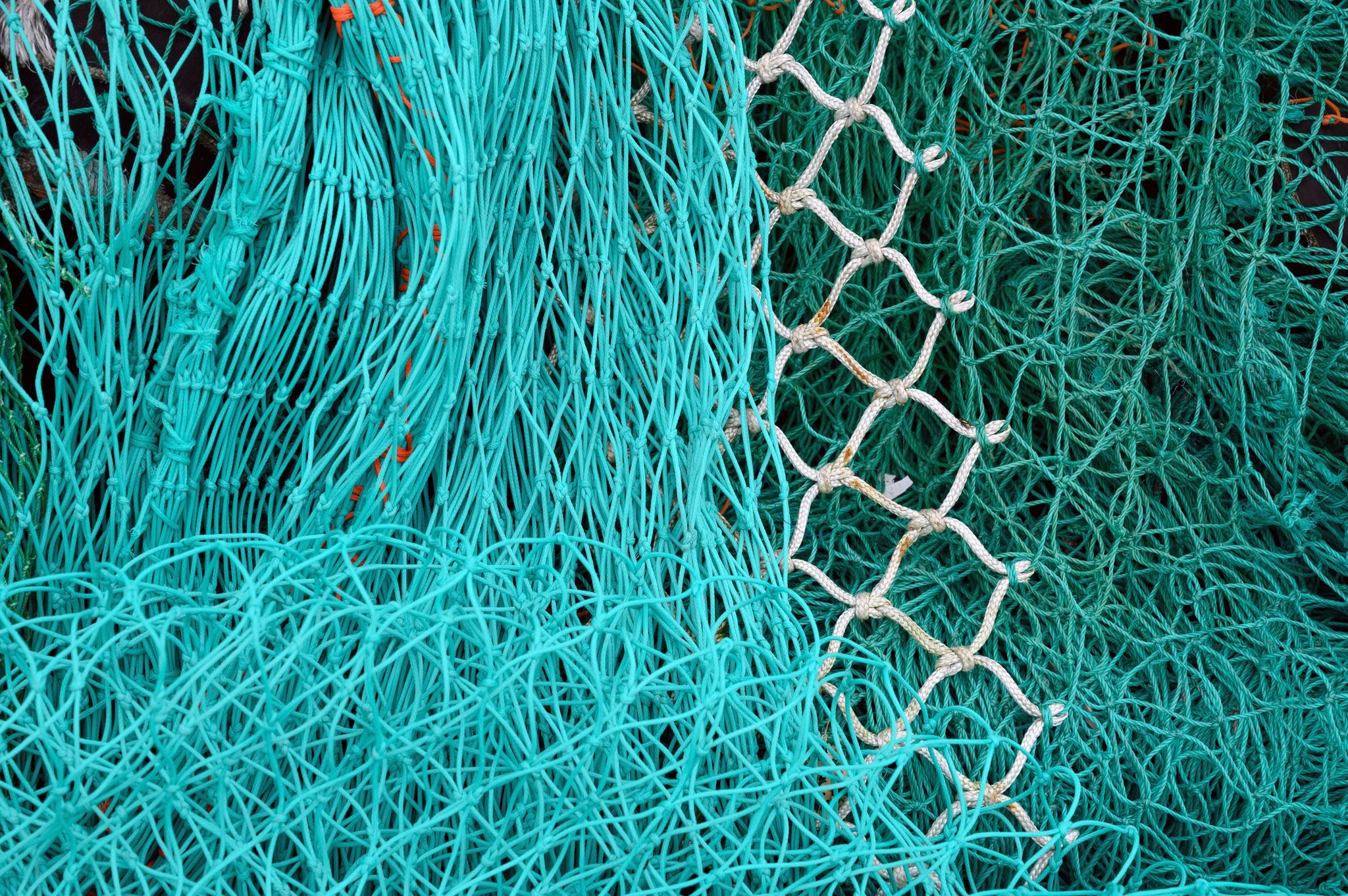 Grundschleppnetze stehen in der Kritik, weil der Meeresboden durch das Fanggerät erheblich beschädigt werden kann (Symbolbild).