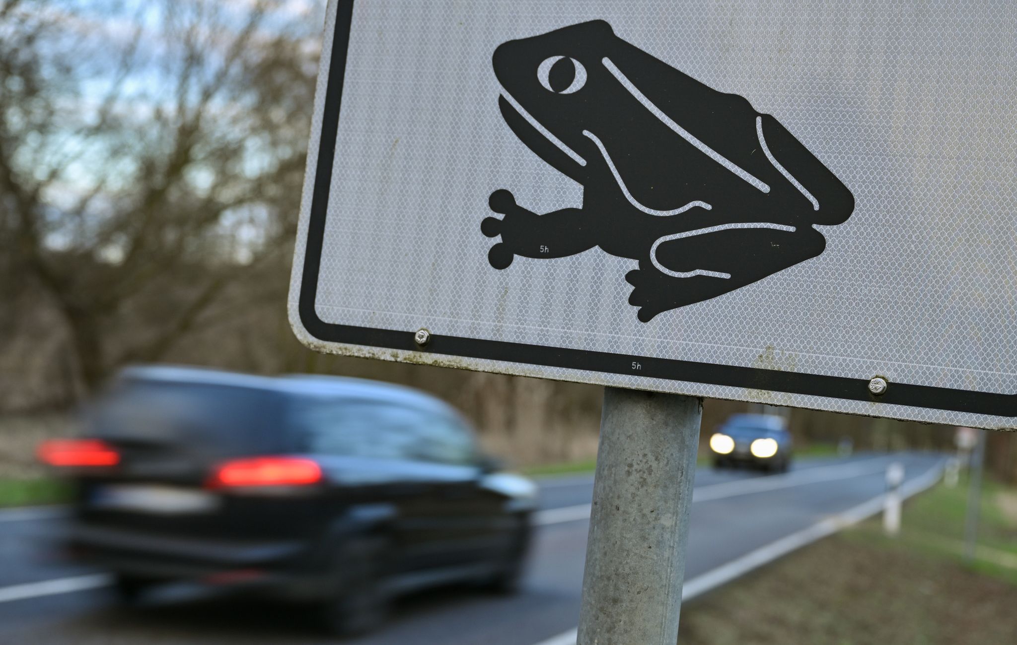 Ein Hinweisschild zur Krötenwanderung steht an einer Bundesstraße.
