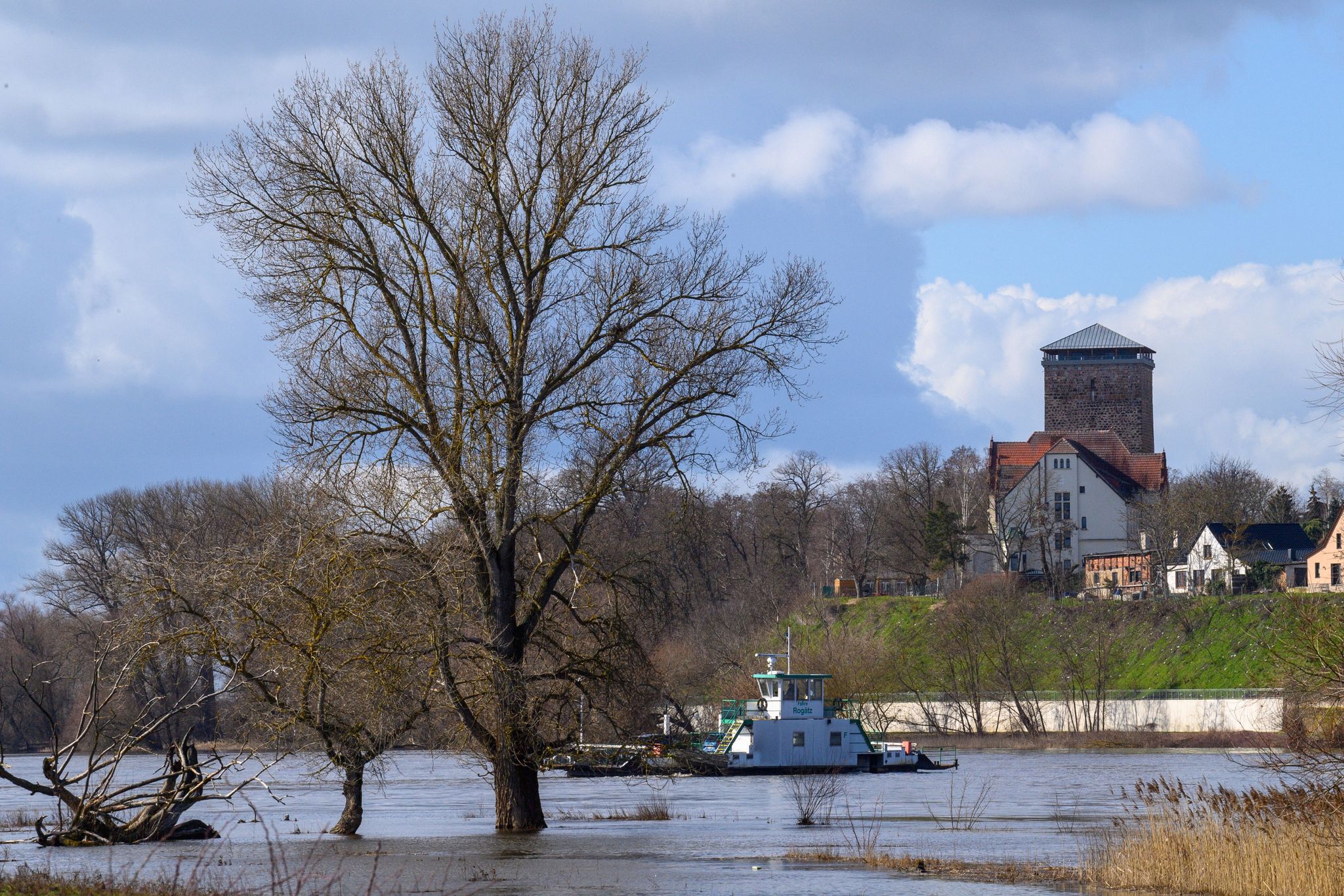 Die Fähre Rogätz setzt hinter Bäumen die im Wasser stehen über die Elbe.