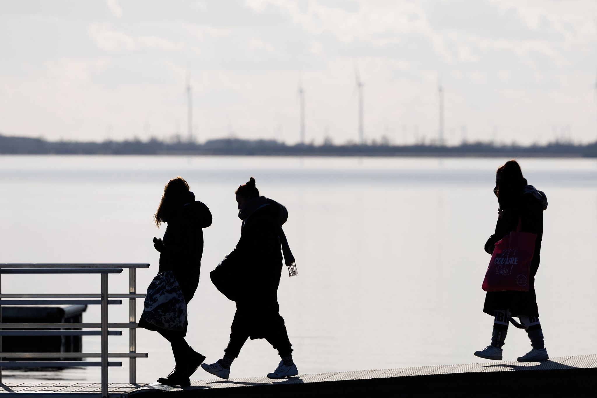 Mehrere Personen gehen über einen Steg am Ufer vom Dümmer See.