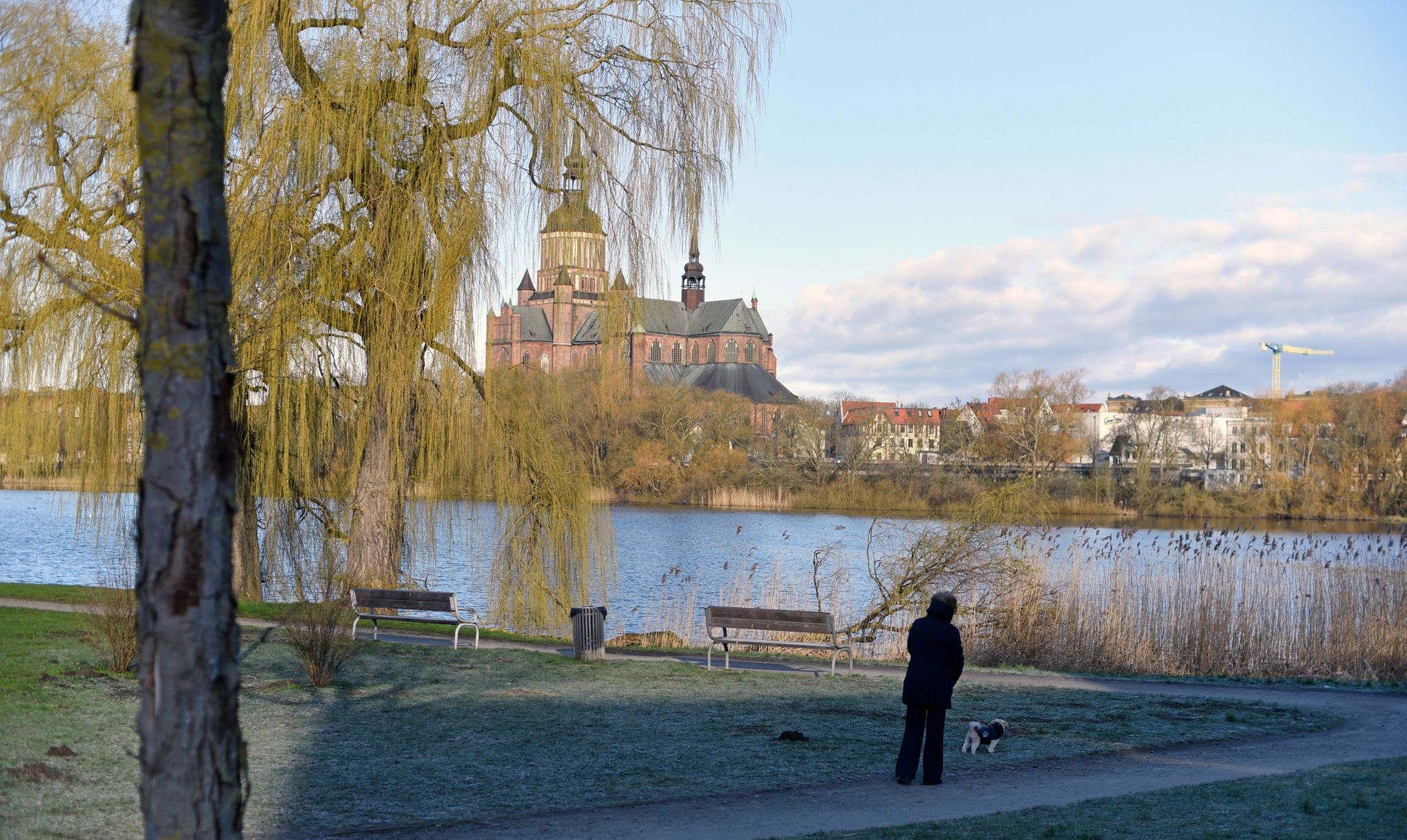 Blick über den Knieper Teich auf die Marienkirche von Stralsund.
