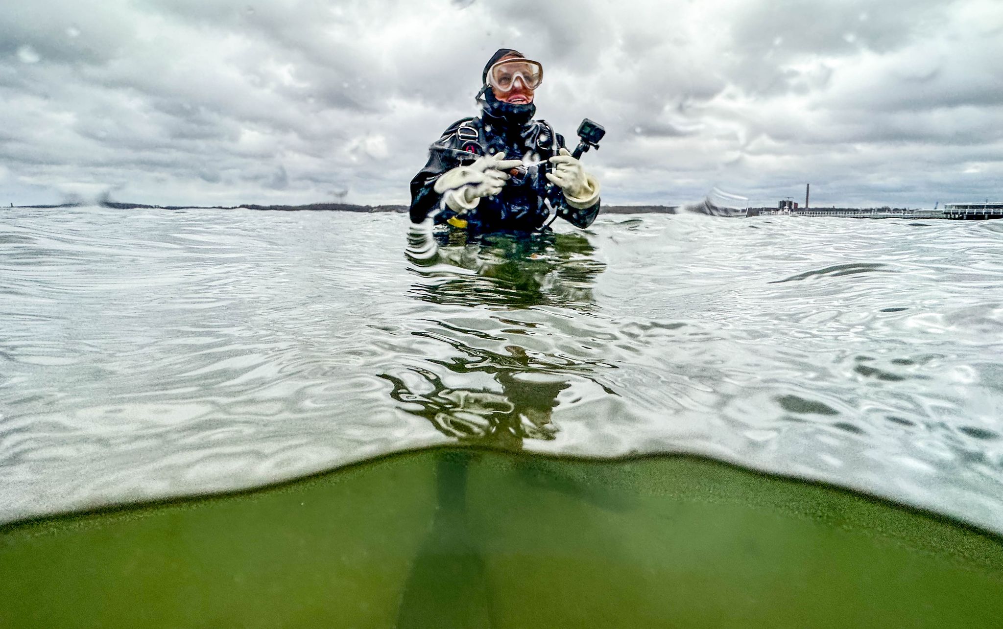 Die australische Meeresbiologin Angela Stevenson taucht an einer Seegraswiese in der Kieler Förde.