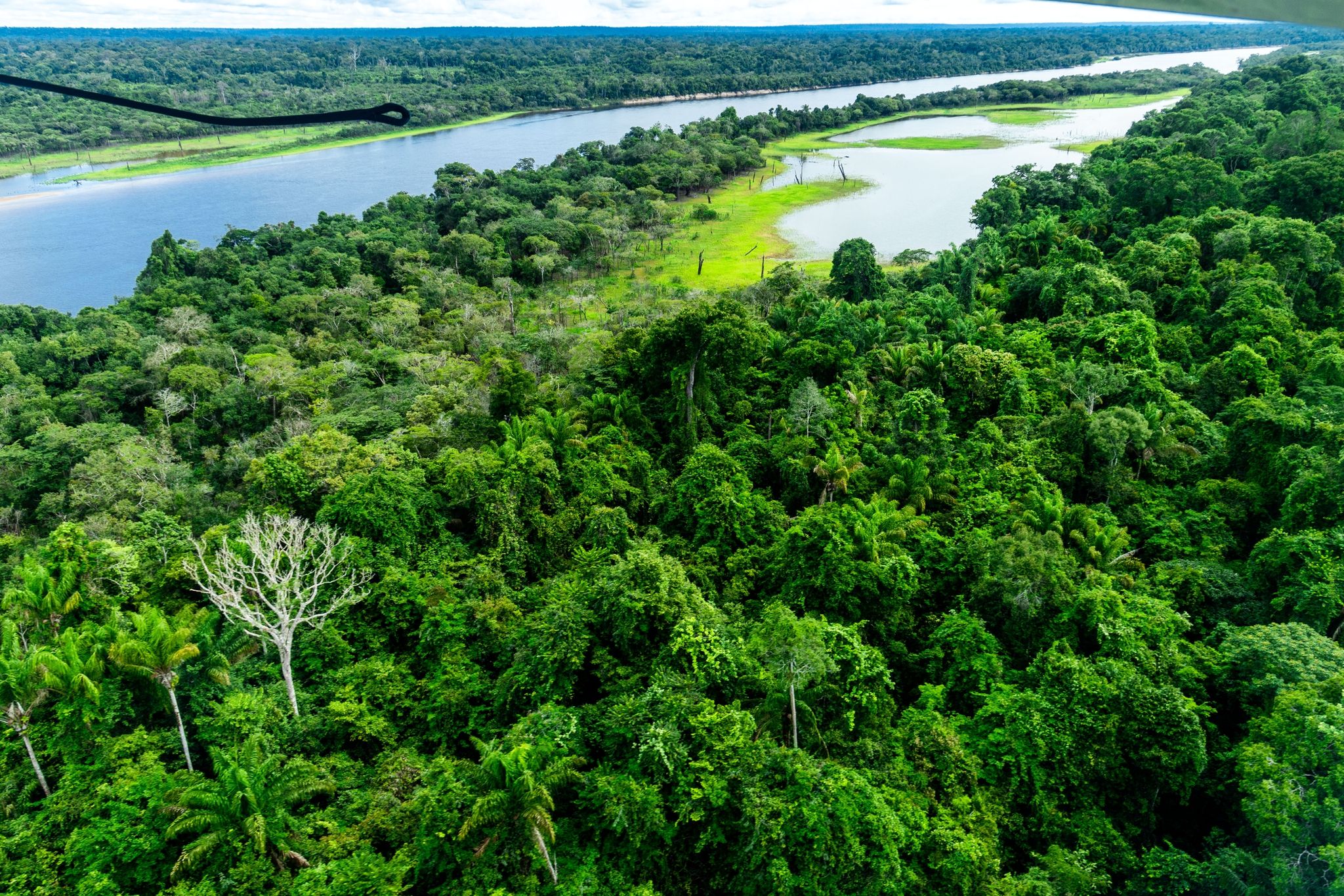 Der Ölriese Petrobras will mit Probebohrungen im Amazonasgebiet beginnen.