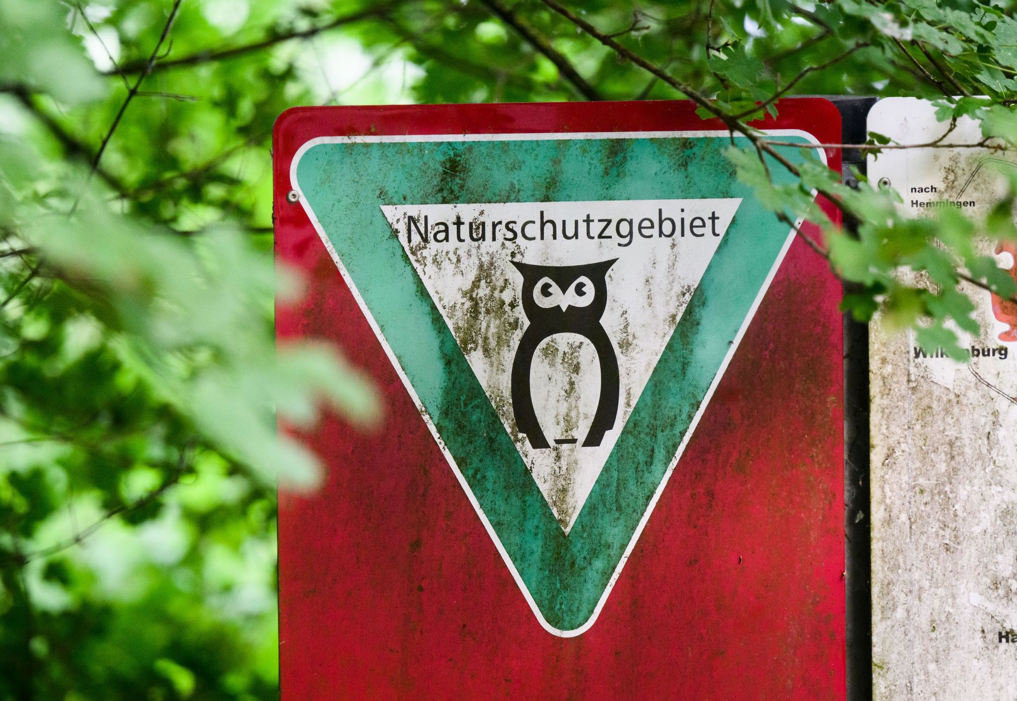 Ein Schild hängt an einem Naturschutzgebiet.