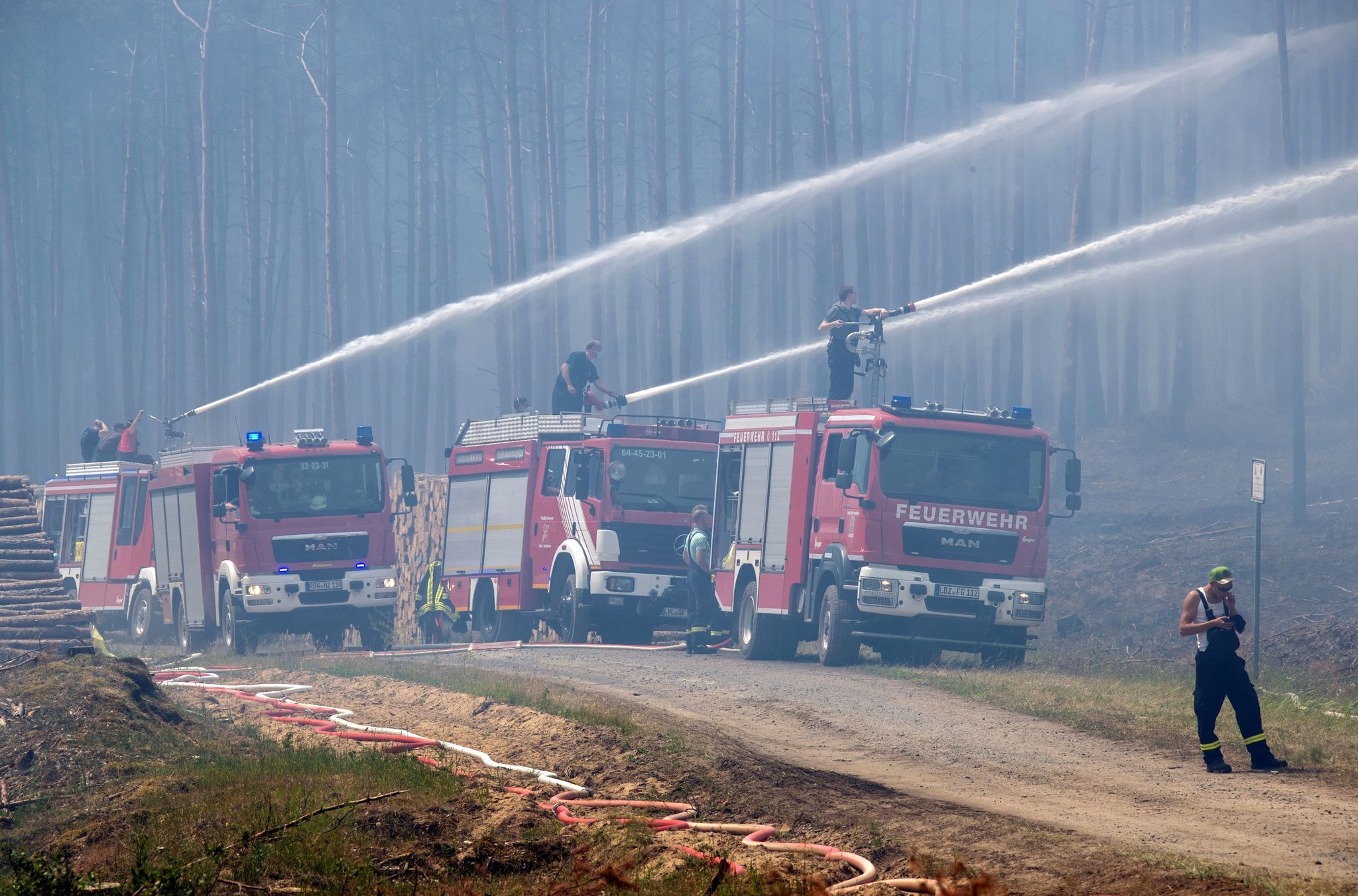 Feuerwehrleute löschen einen großflächigen Waldbrand.