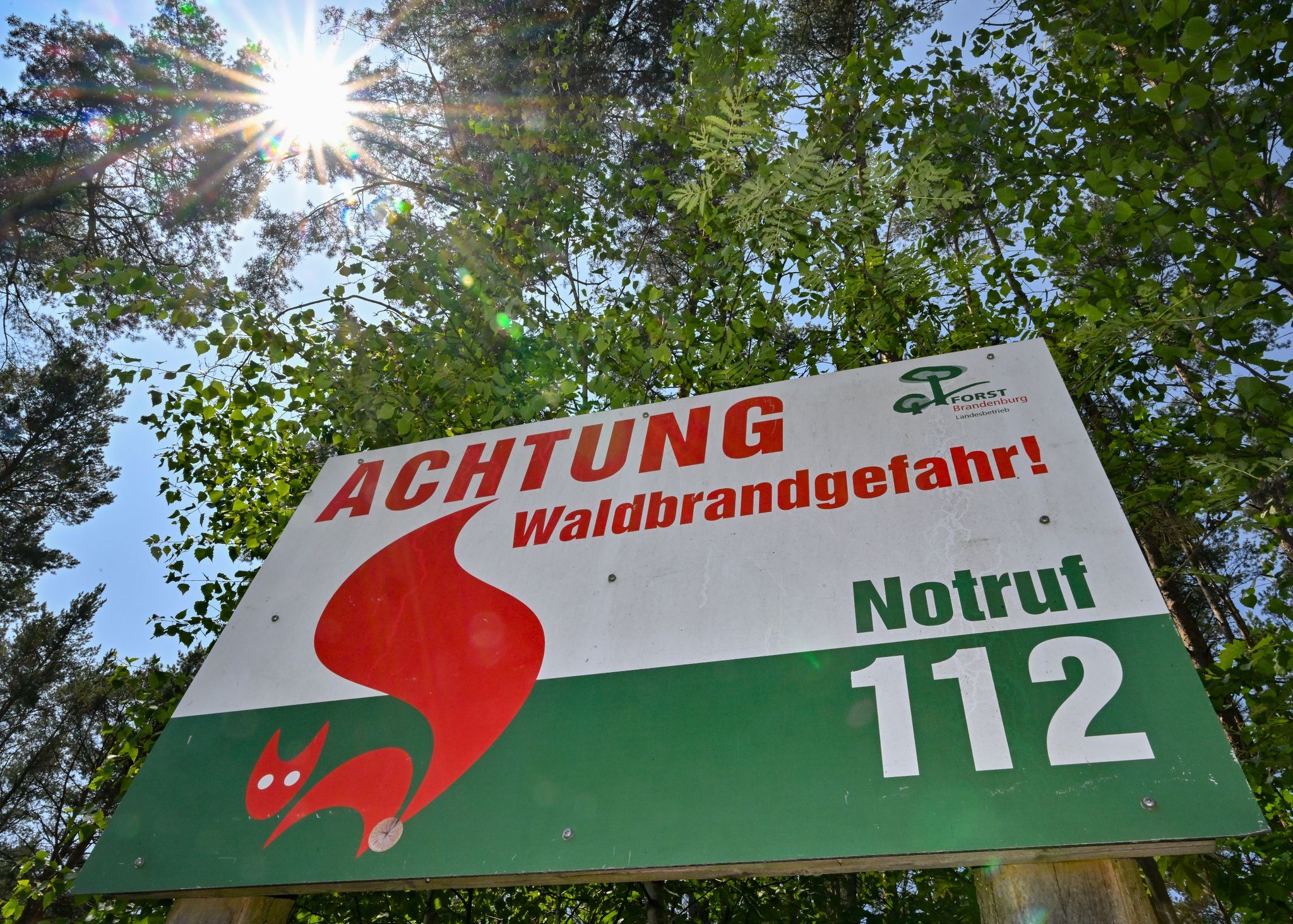 Ein Schild vom Landesbetrieb Forst Brandenburg mit der Aufschrift «Achtung Waldbrandgefahr! Notruf 112» steht vor Bäumen.