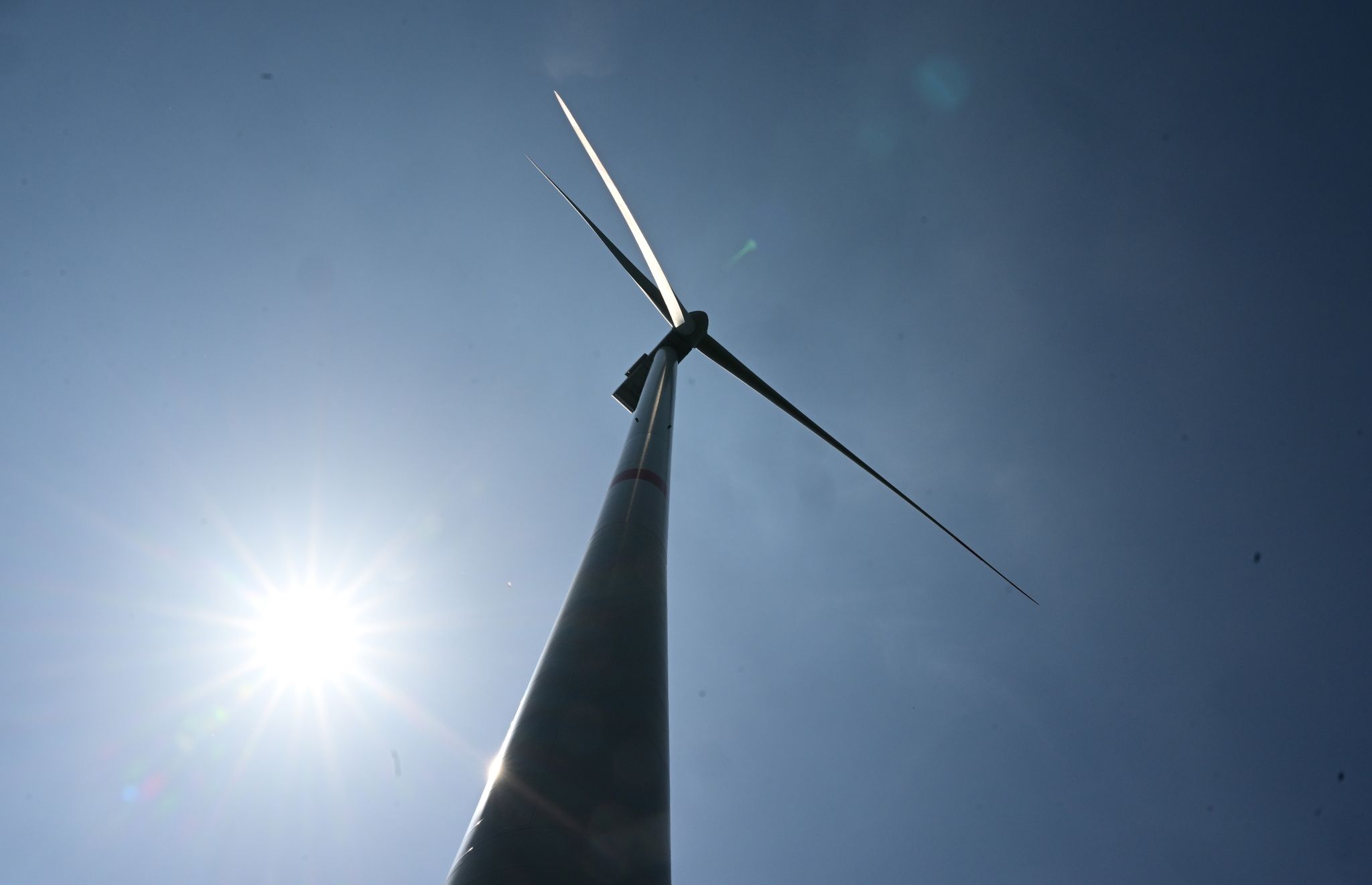 Windenergie steht an der Spitze des Ausbaus, glaubt IEA-Direktor Fatih Birol.