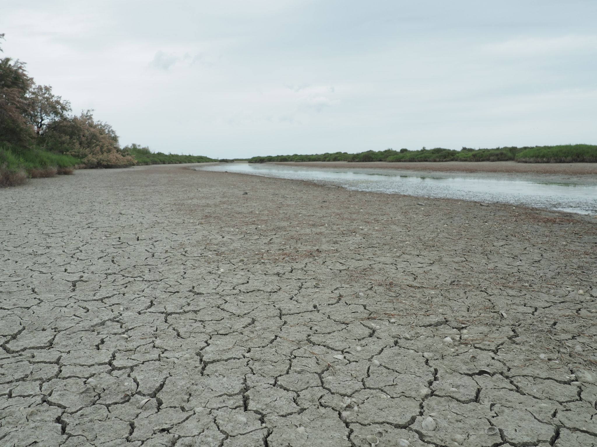 Der Klimawandel hinterlässt in dem südfranzösischen Delta seine Spuren.
