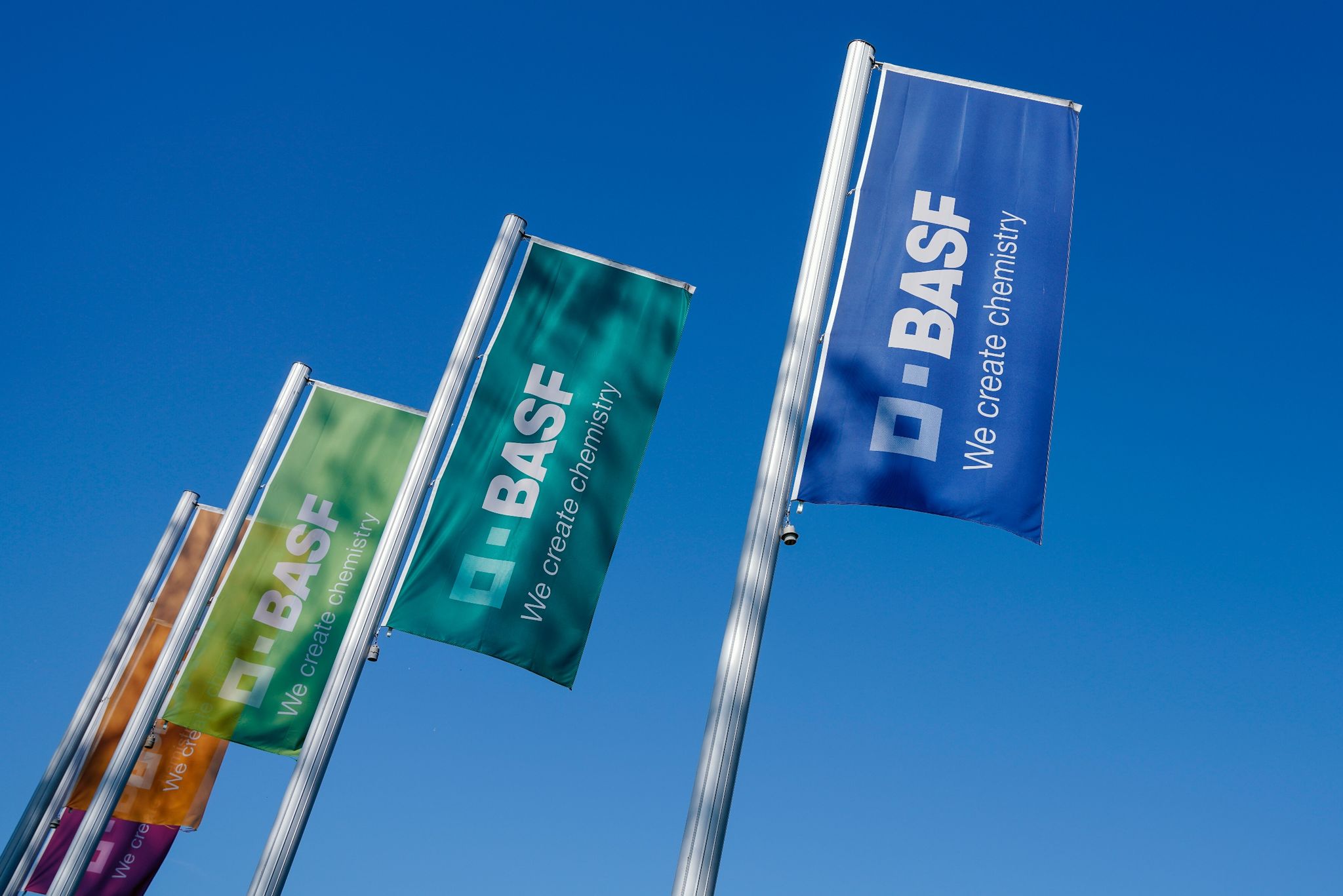 BASF eröffnet am Standort Schwarzheide im südlichen Brandenburg eine erste Fabrik für Kathodenmaterial.