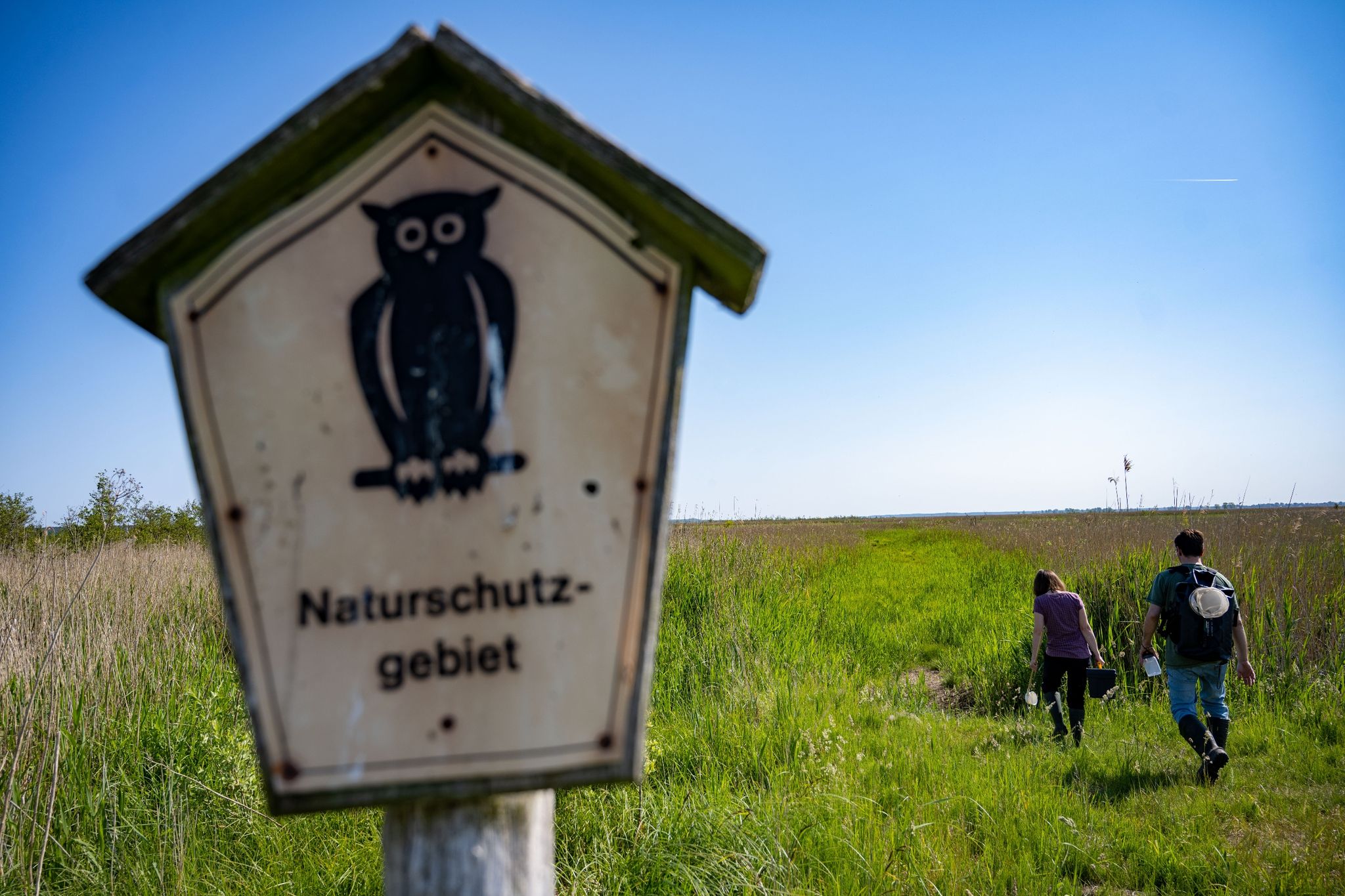 Ein Schild mit der Aufschrift «Naturschutzgebiet» in Mecklenburg-Vorpommern.