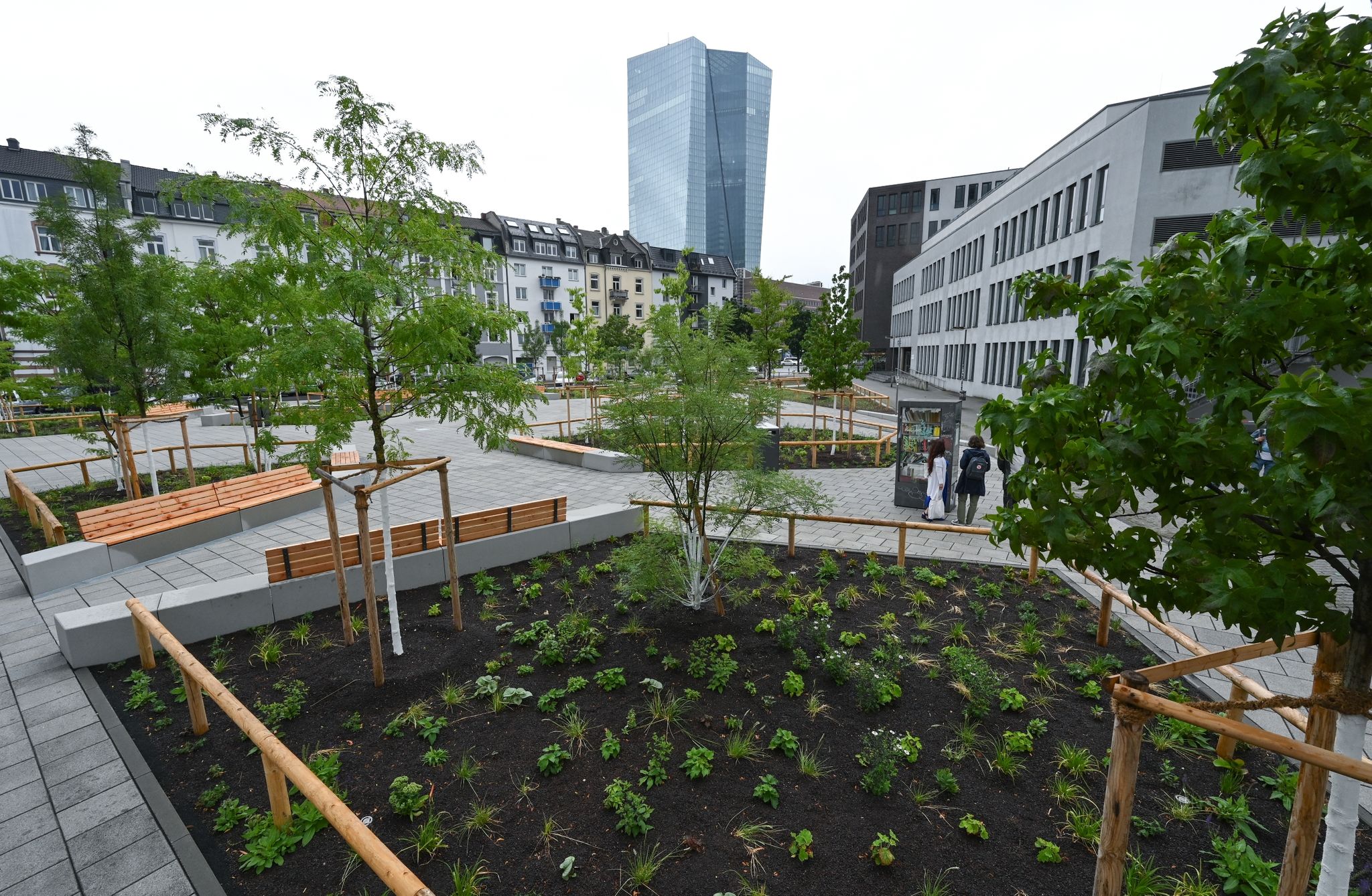 Mit neuen Grünflächen und Bäumen präsentiert sich der Paul-Arnsberg-Platz im Frankfurter Stadtteil Ostend nach der klimafreundlichen Umgestaltung.