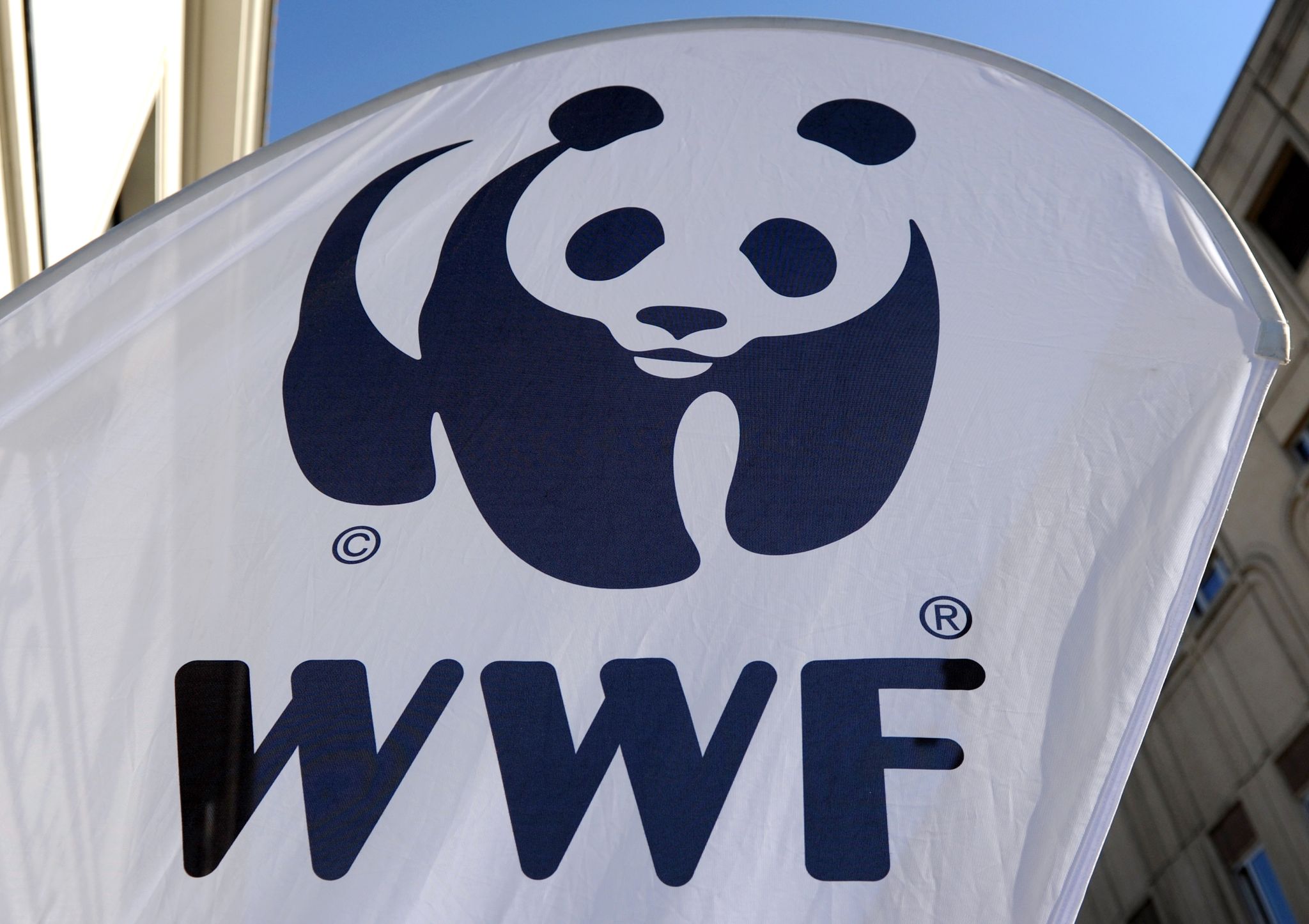 Das WWF-Logo ist auf einem Aufsteller zu sehen.