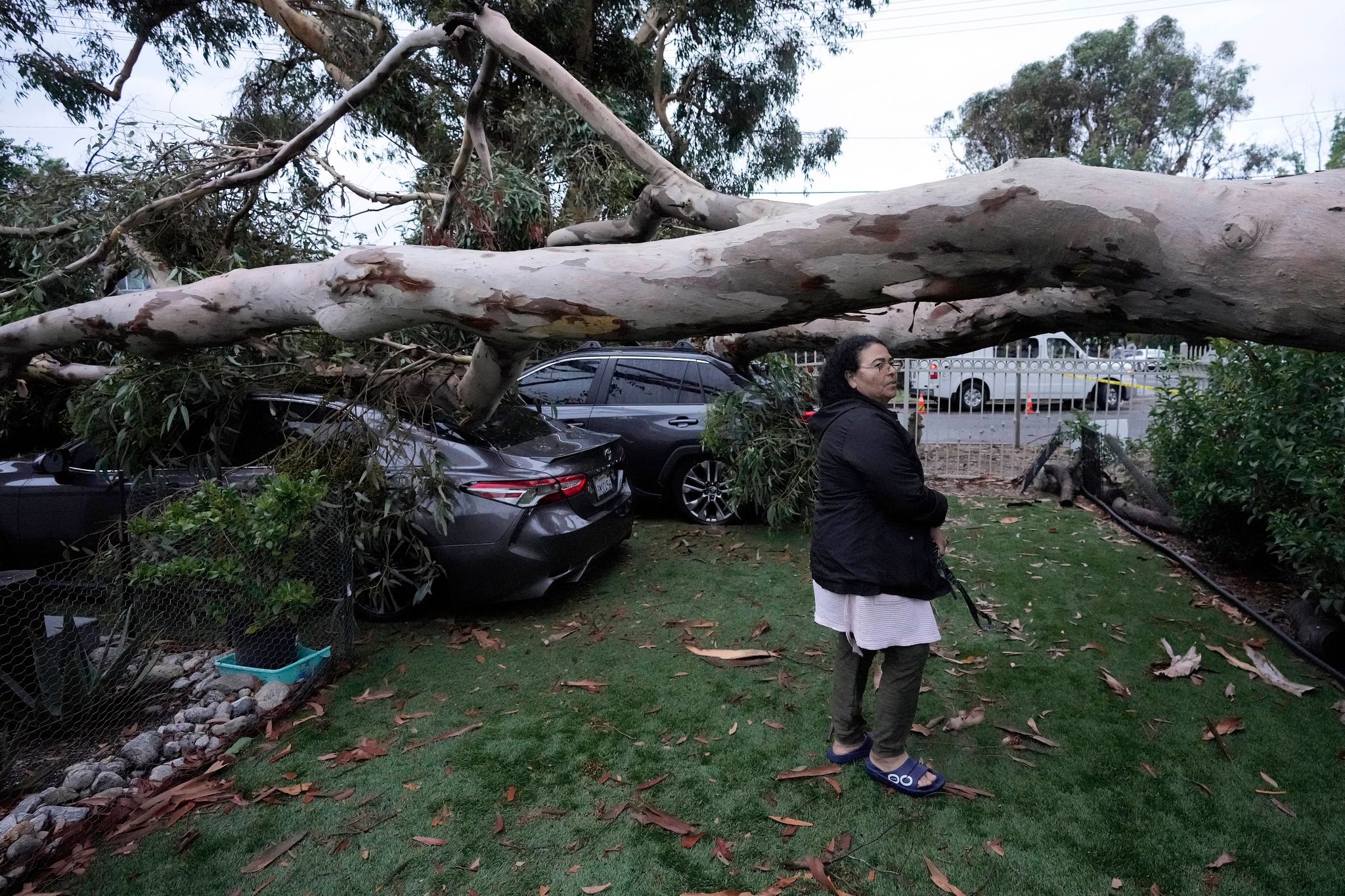 Umgestürzte Bäume nach dem Tropensturm «Hilary» im Sun Valley in Kalifornien.