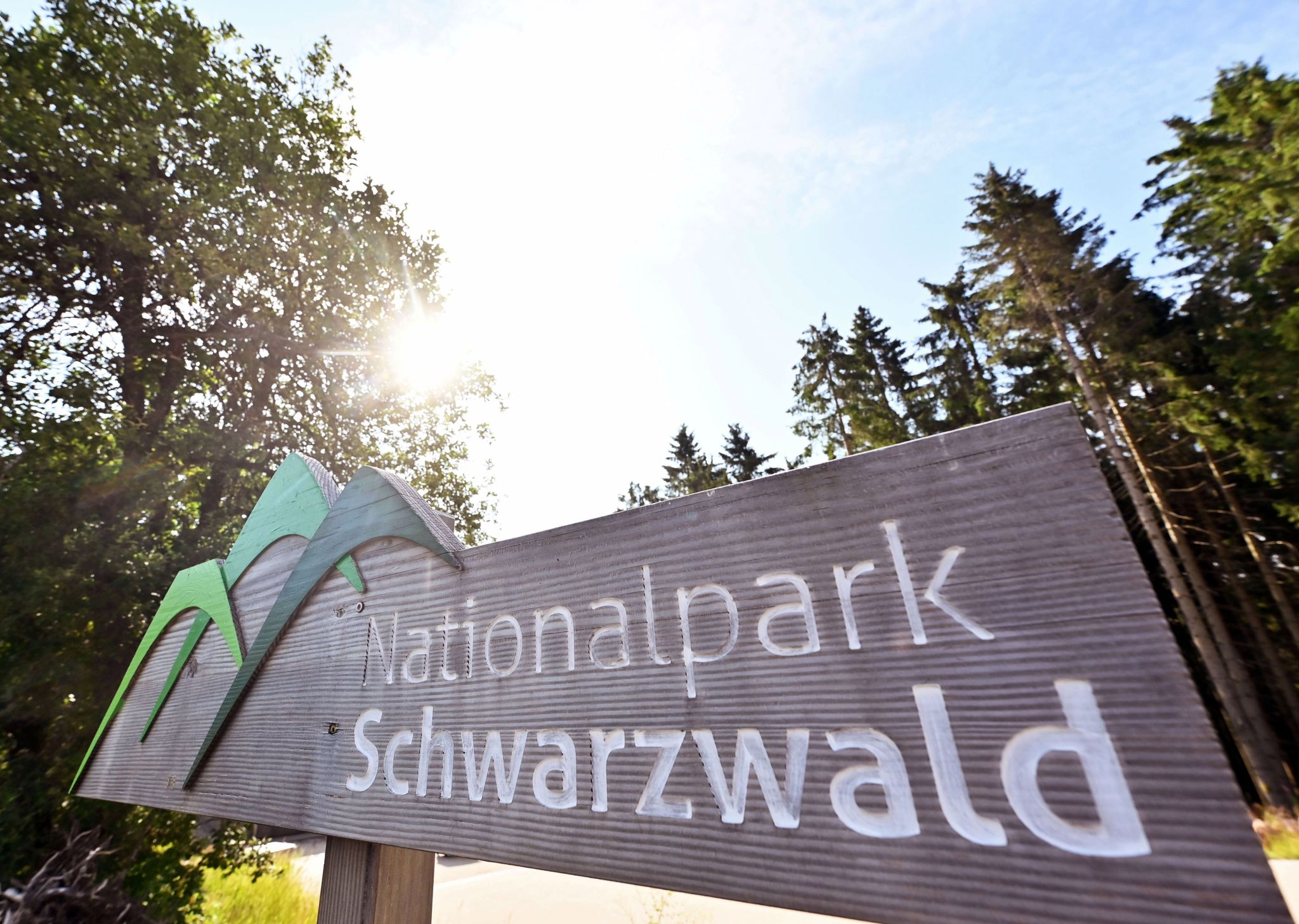 Ein Hinweisschild mit der Aufschrift «Nationalpark Schwarzwald», aufgenommen in dem Nationalpark.