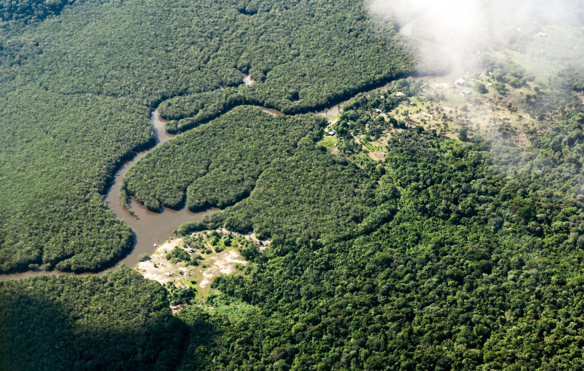 Das Amazonasgebiet um Manaus in Brasilien. Vor allem Aktivisten, die sich gegen die Agrarindustrie, Bergbau und Holzfällerei einsetzen, leben gefährlich.