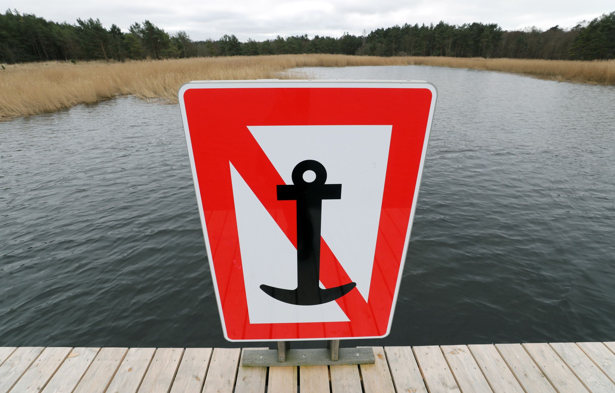 Ein Schild «Ankern verboten» im Nothafen Darßer Ort in der Kernzone des Nationalparks «Vorpommersche Boddenlandschaft».