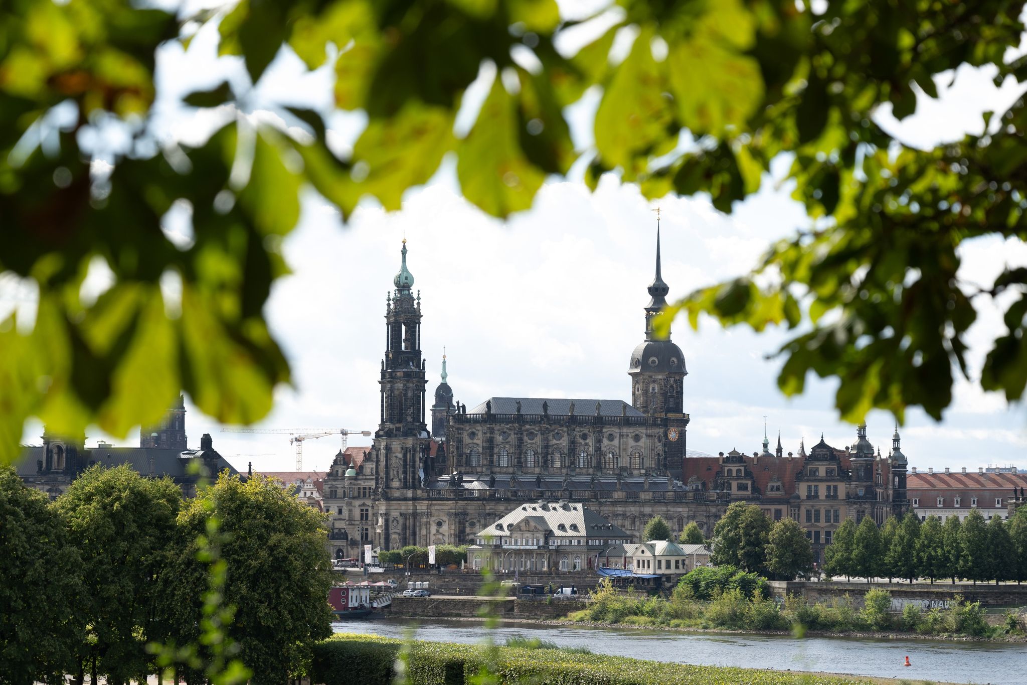 Die Blätter einer Kastanie rahmen die Kulisse der Dresdener Altstadt mit der Katholischen Hofkirche (l) und dem Hausmannsturm.